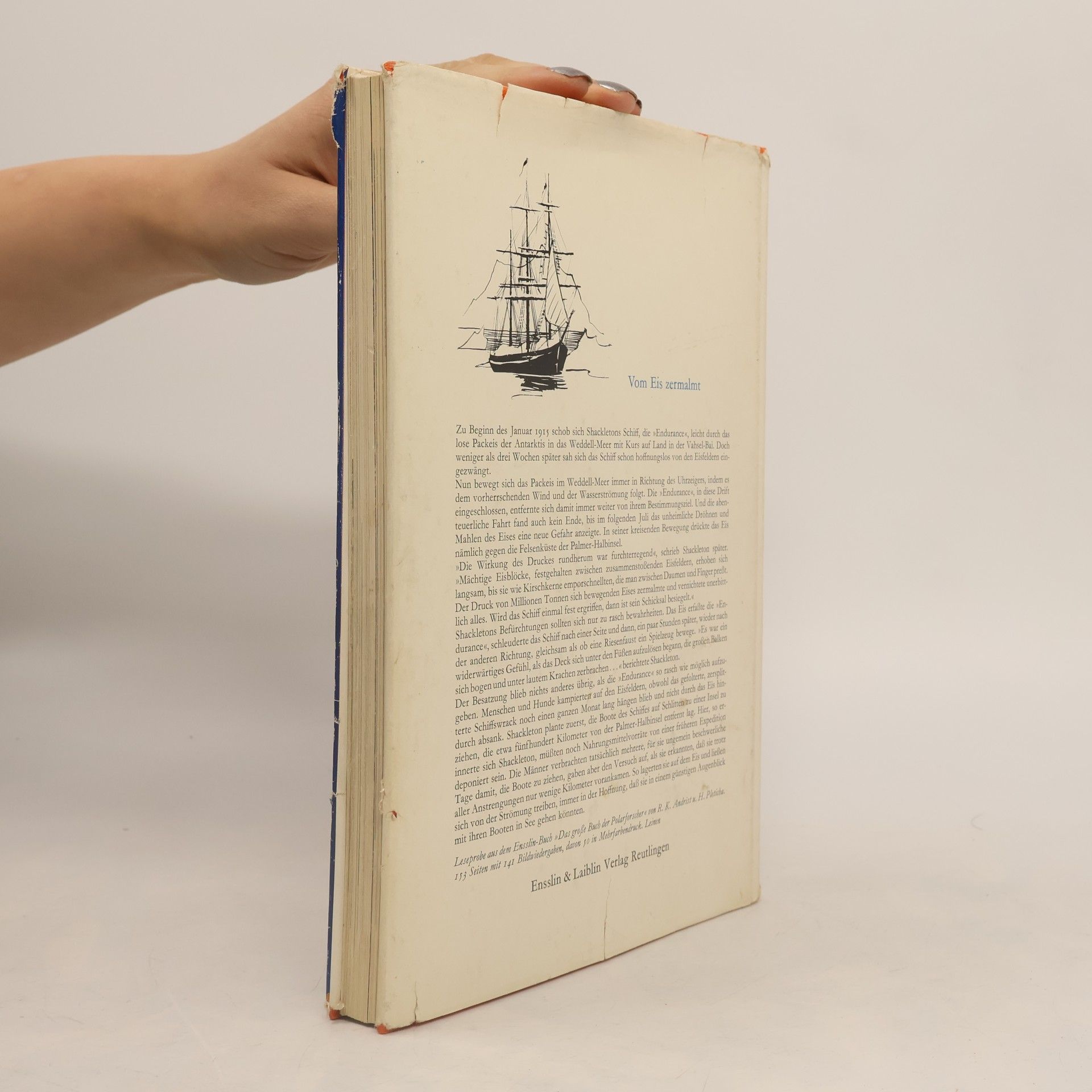 Jay WIliams Das große Buch der Kreuzritter