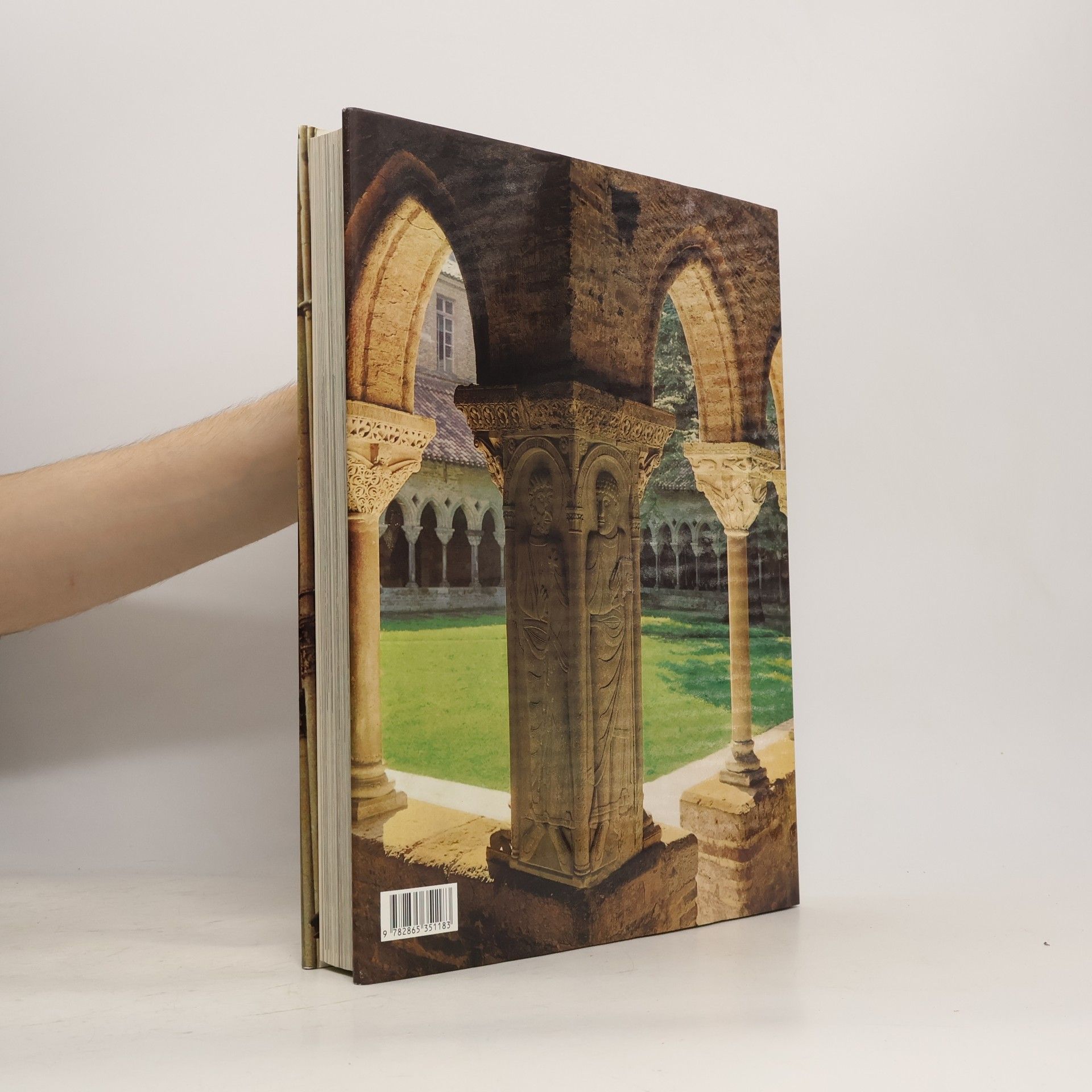 Autorenkollektiv Cathédrales de France
