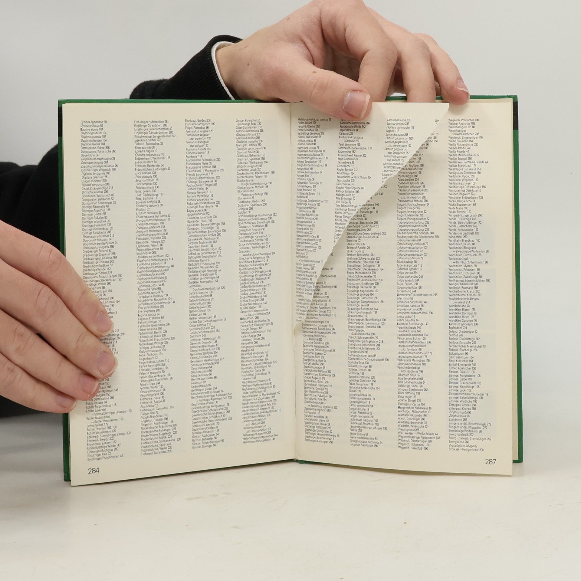 Autores varios Die farbigen Naturführer: Pflanzen des Mittelmeerraums