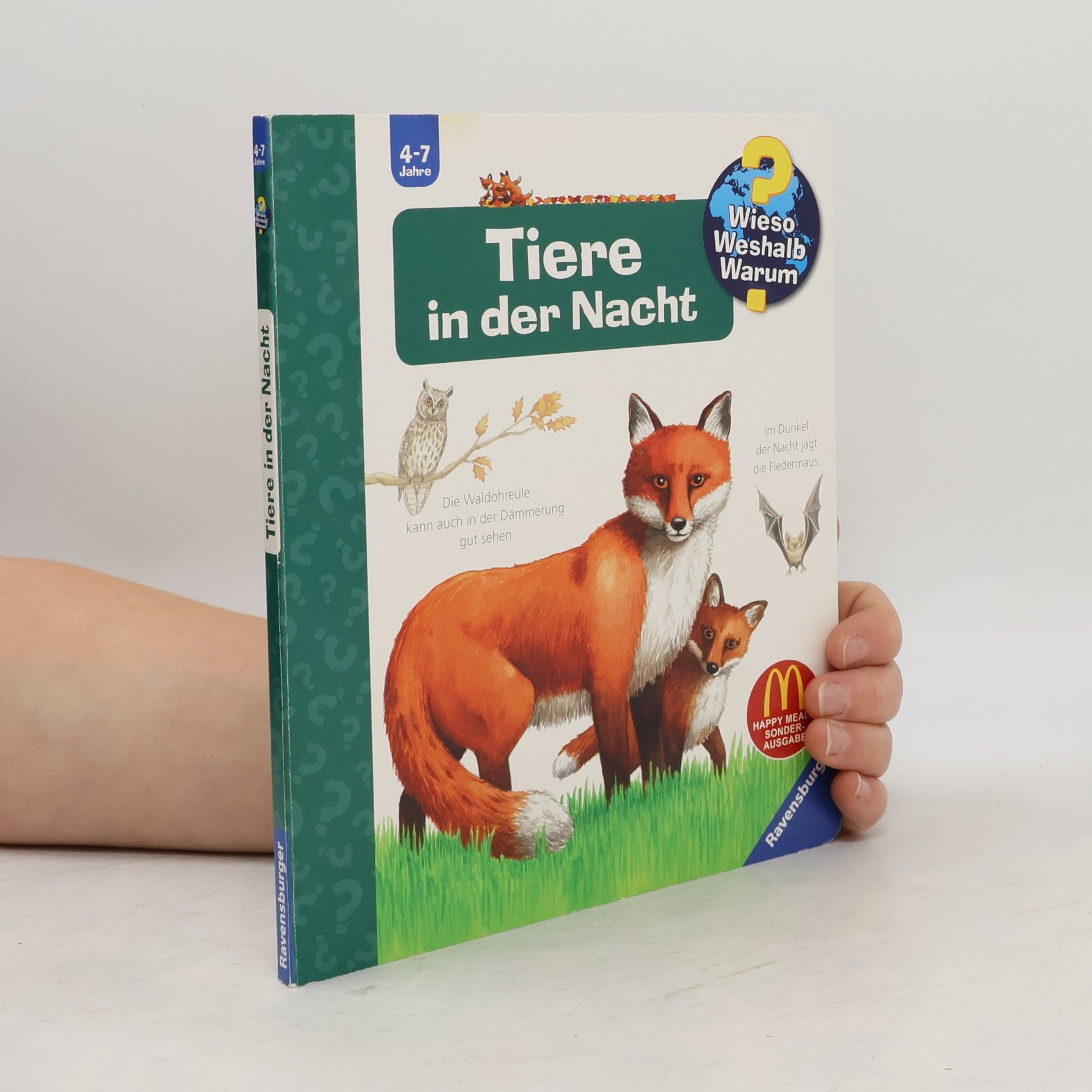 Collectif d'auteurs Tiere in der Nacht