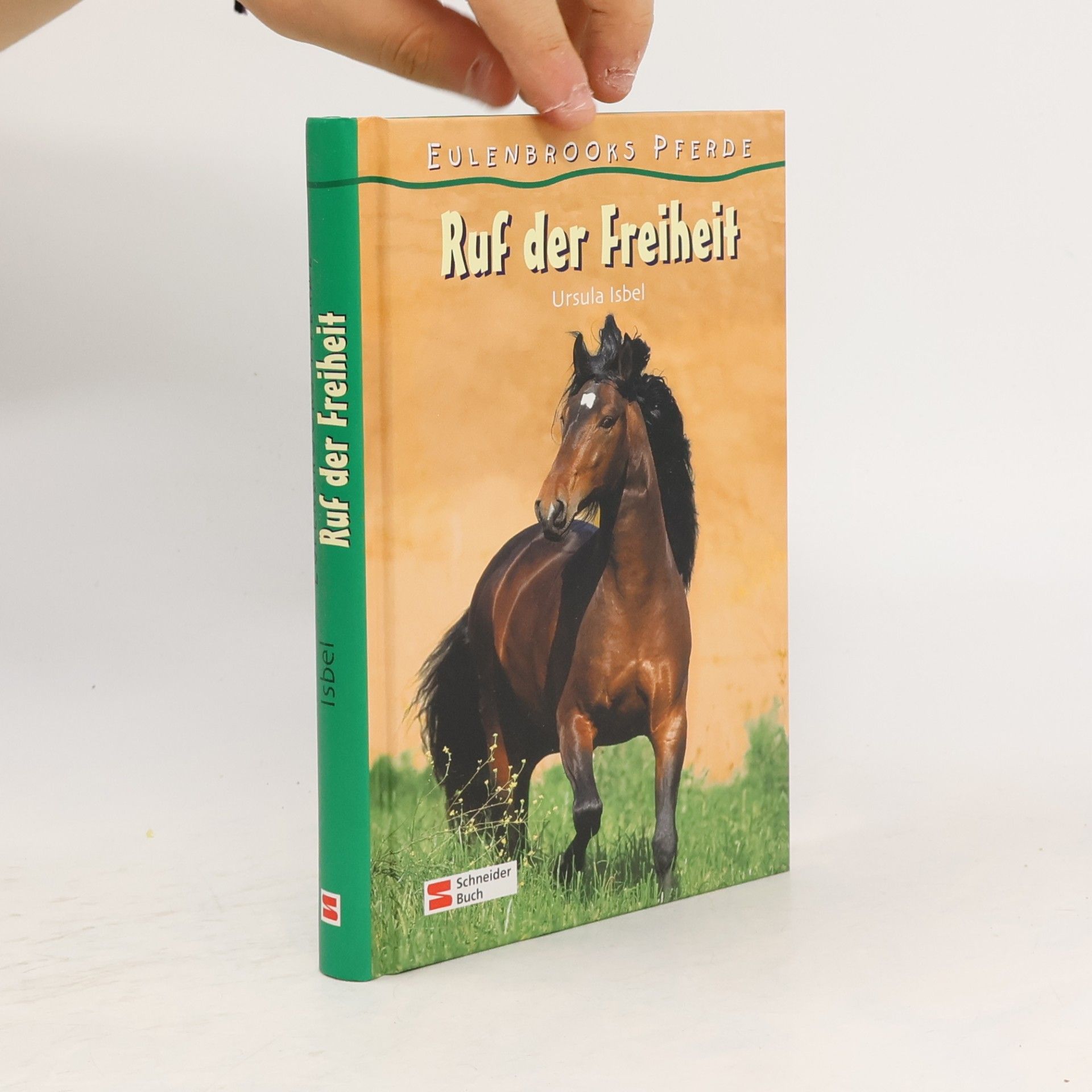 Eulenbrooks Pferde. Ruf der Freiheit