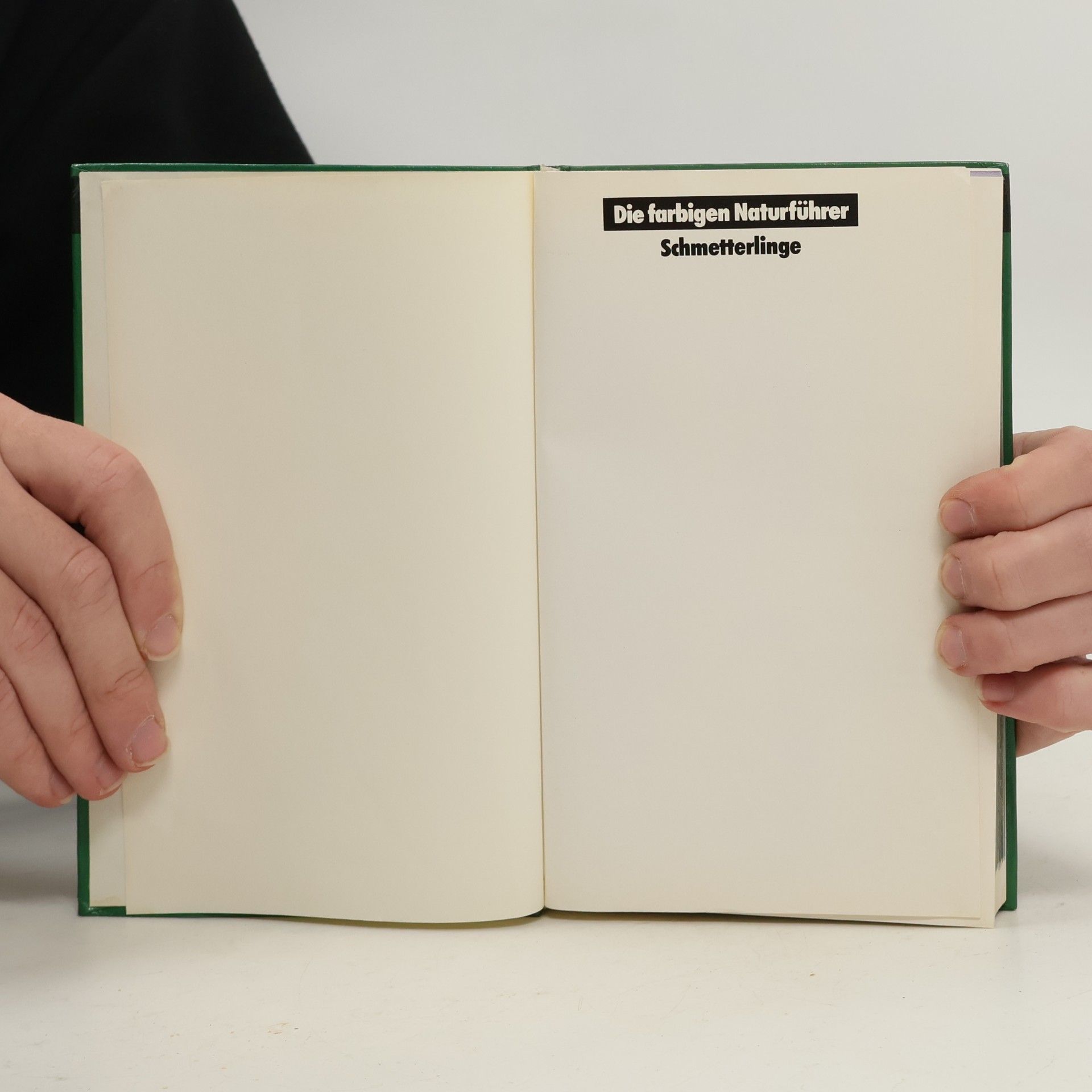 Autorenkollektiv Schmetterlinge