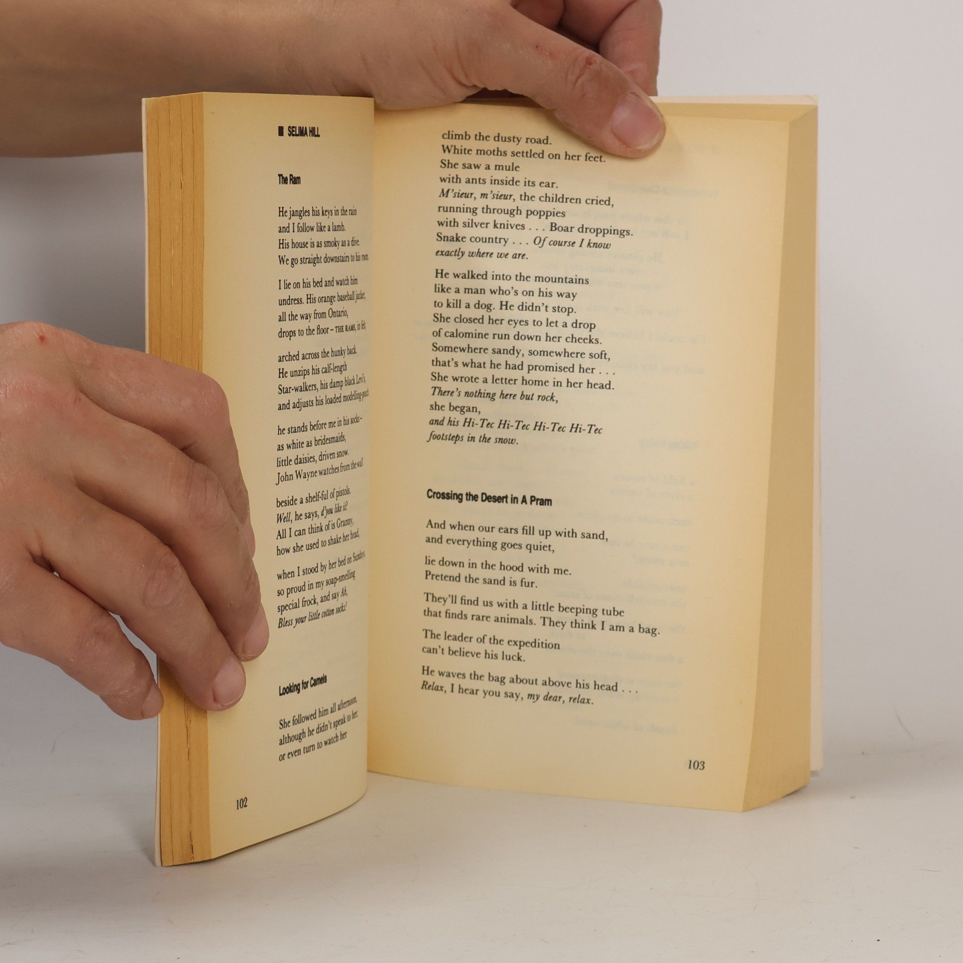 Gillian Allnutt The New British Poetry, 1968-1988