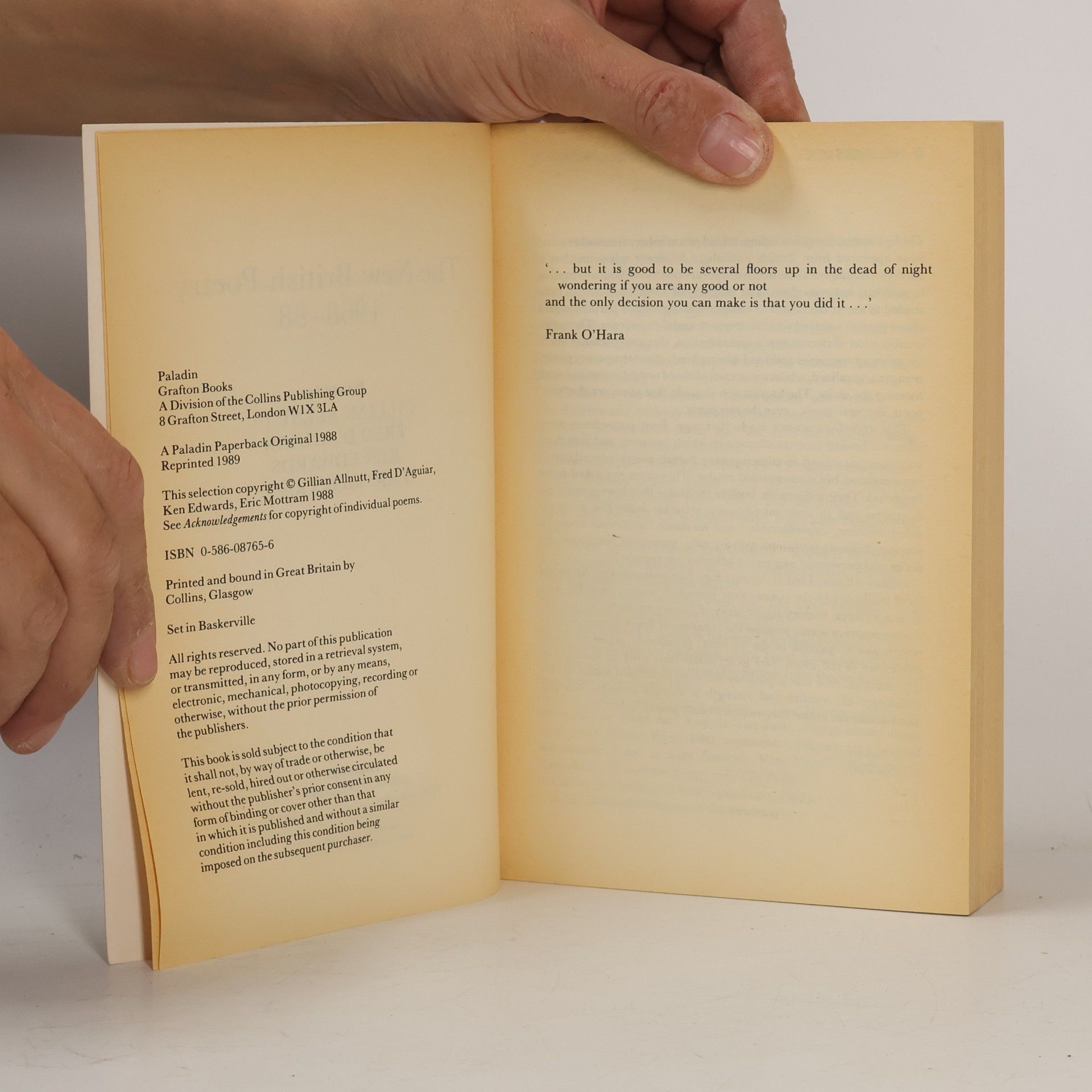 Gillian Allnutt The New British Poetry, 1968-1988
