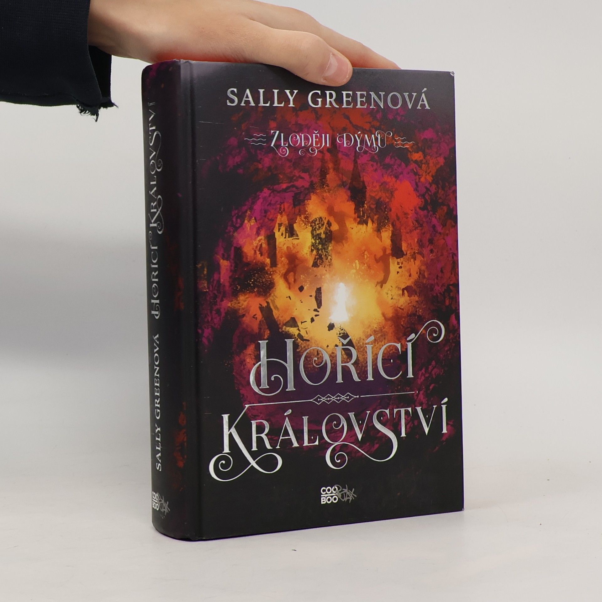 Sally Green Hořící království