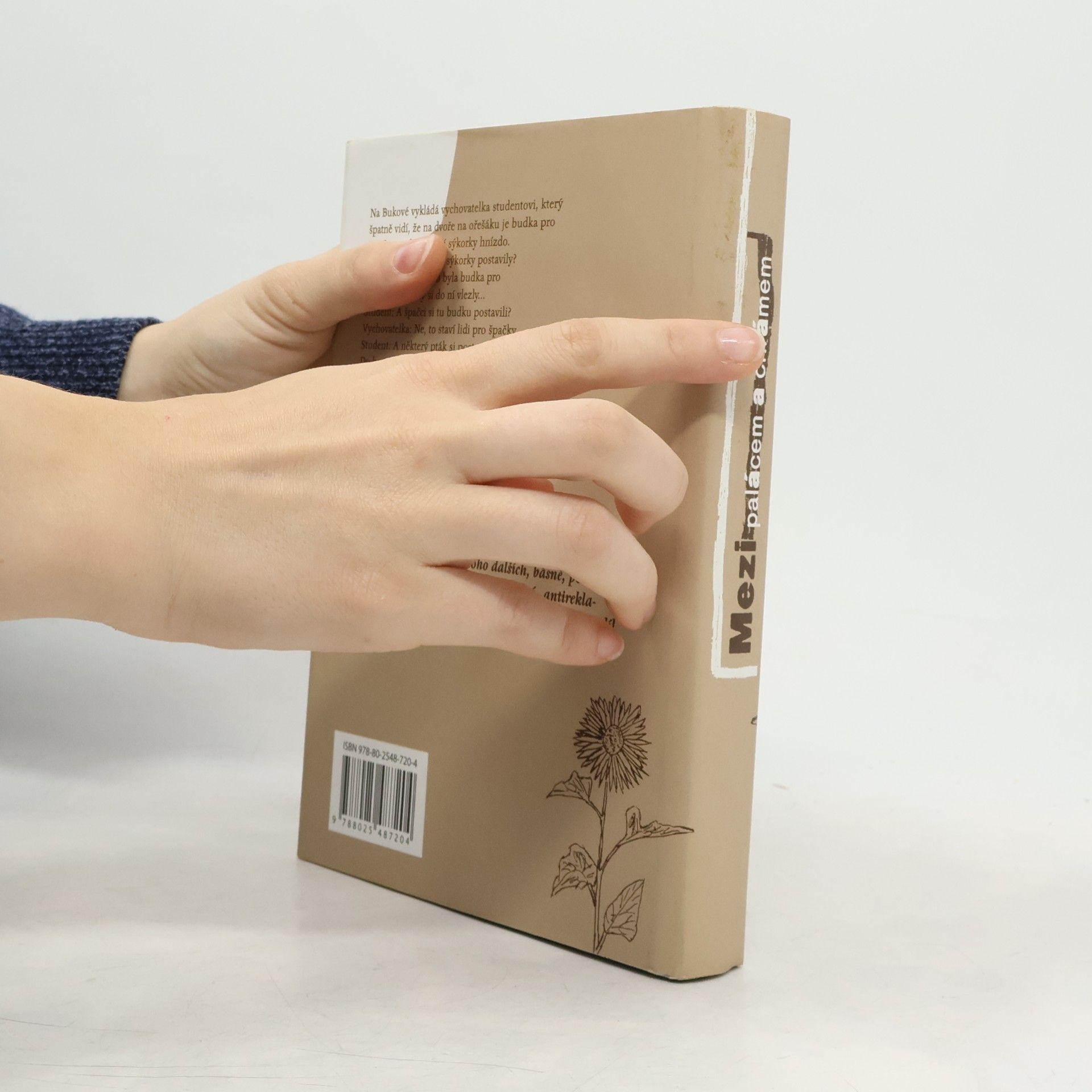 Pavla Herrmannová Mezi palácem a chrámem : almanach poezie a prózy studentů a zaměstnanců JÚŠ (2005-2010)