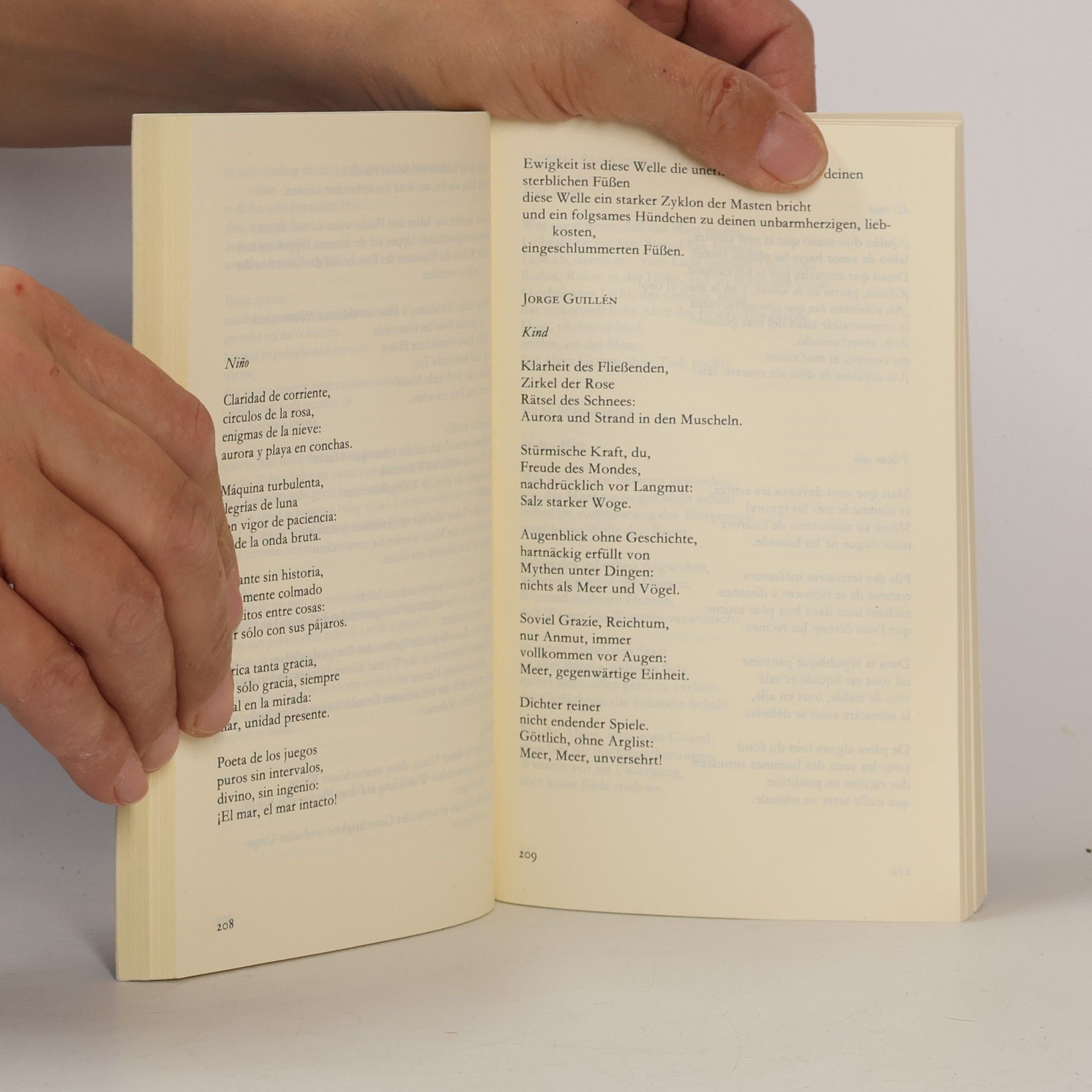 Hans Magnus Enzensberger Museum der Modernen Poesie 1