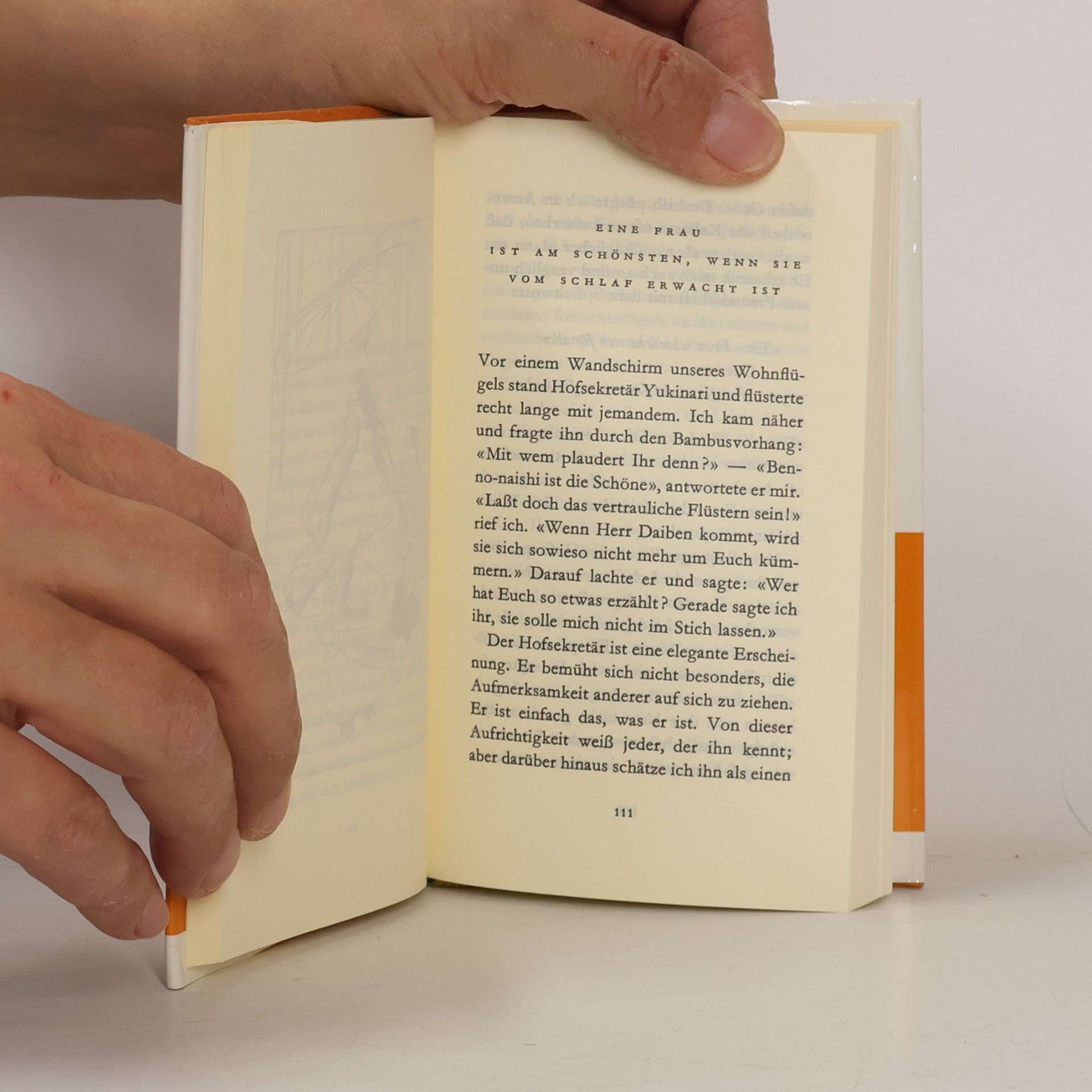 Sei Šónagon Das Kopfkissenbuch einer Hofdame