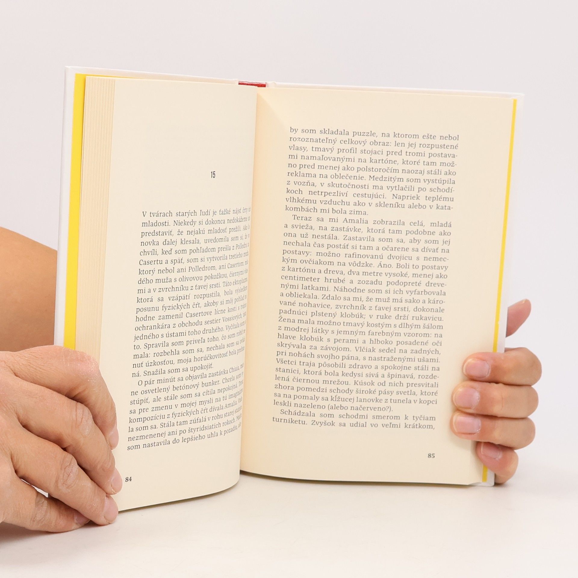 Elena Ferrante Zraňujúca láska