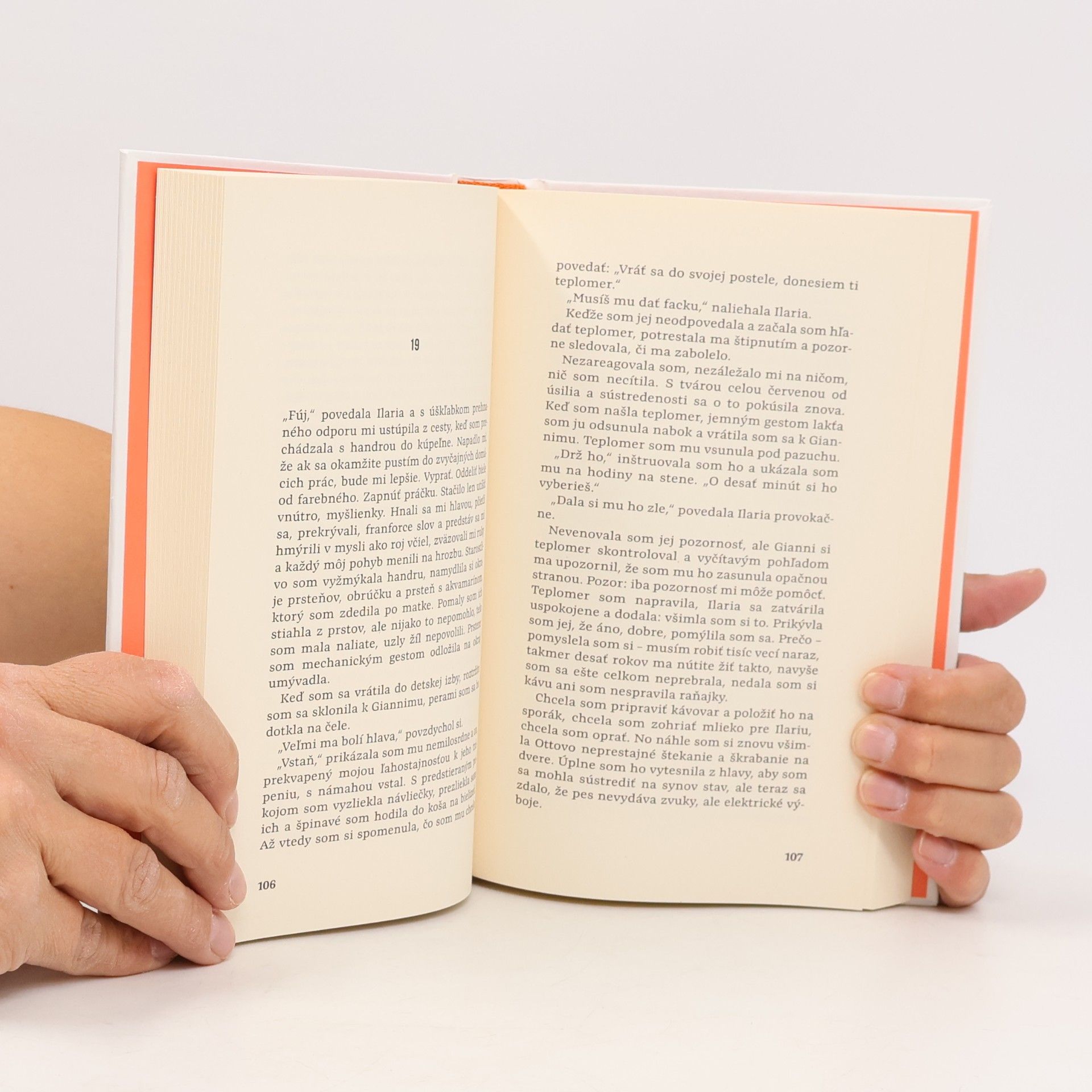 Elena Ferrante Dni opustenia