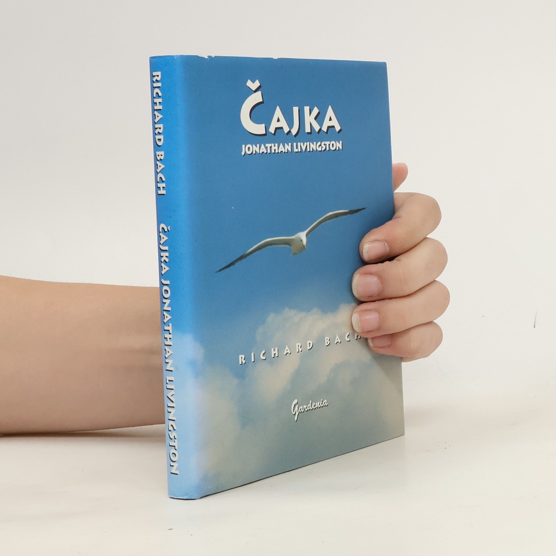 Čajka Jonathan Livingston