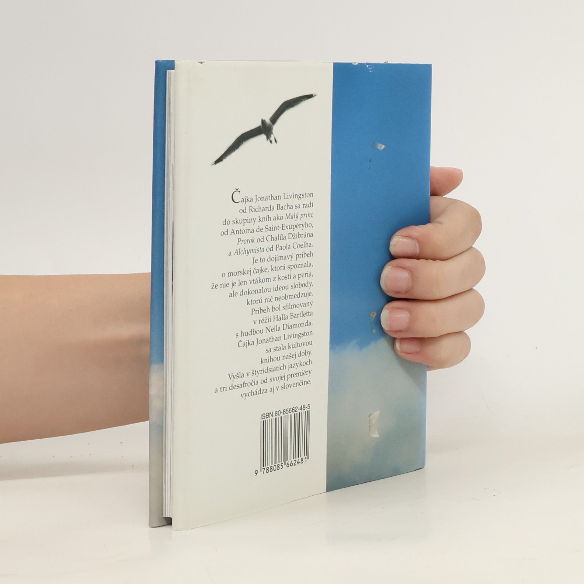 Richard David Bach Čajka Jonathan Livingston