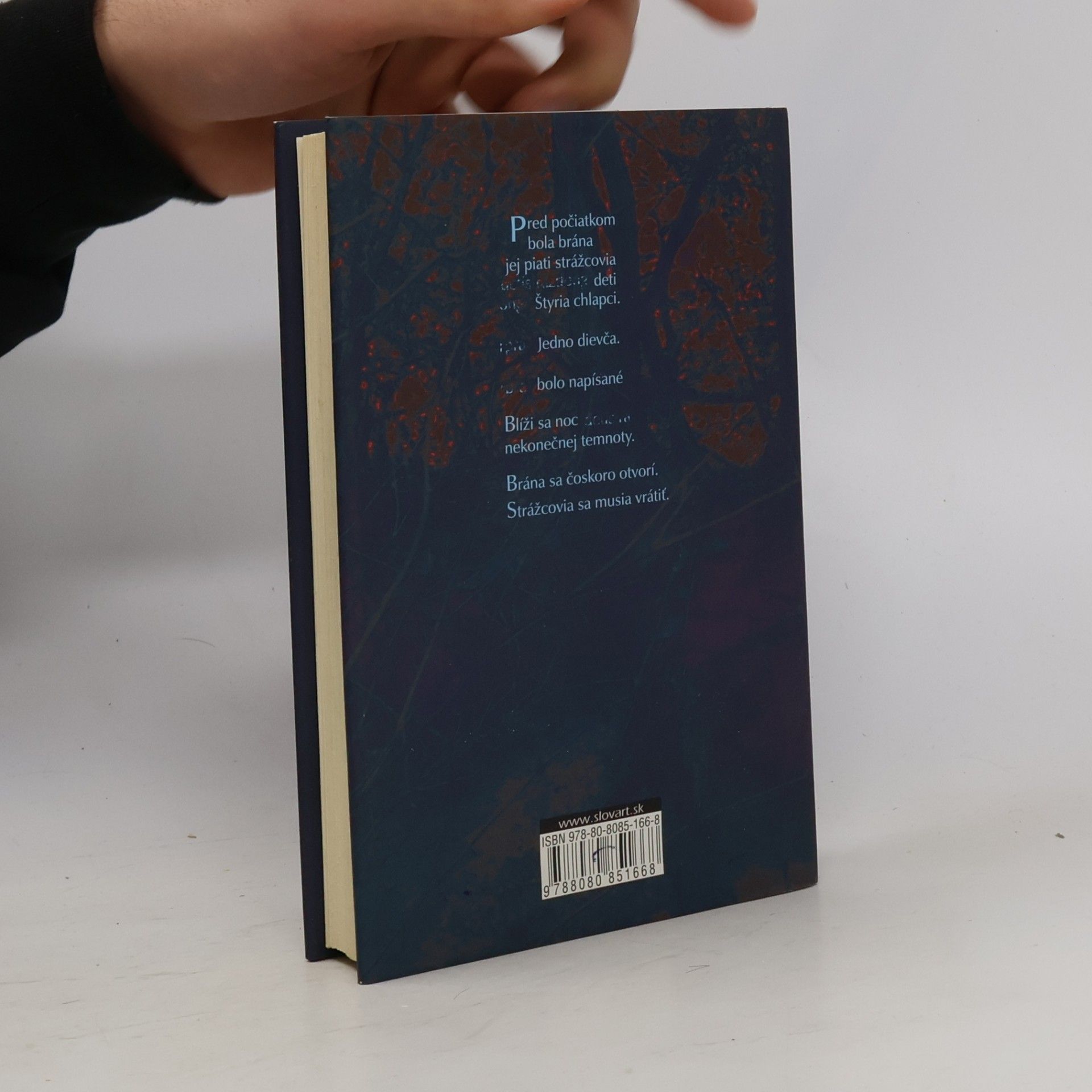 Anthony Horowitz Spoločenstvo piatich 1. Havrania brána