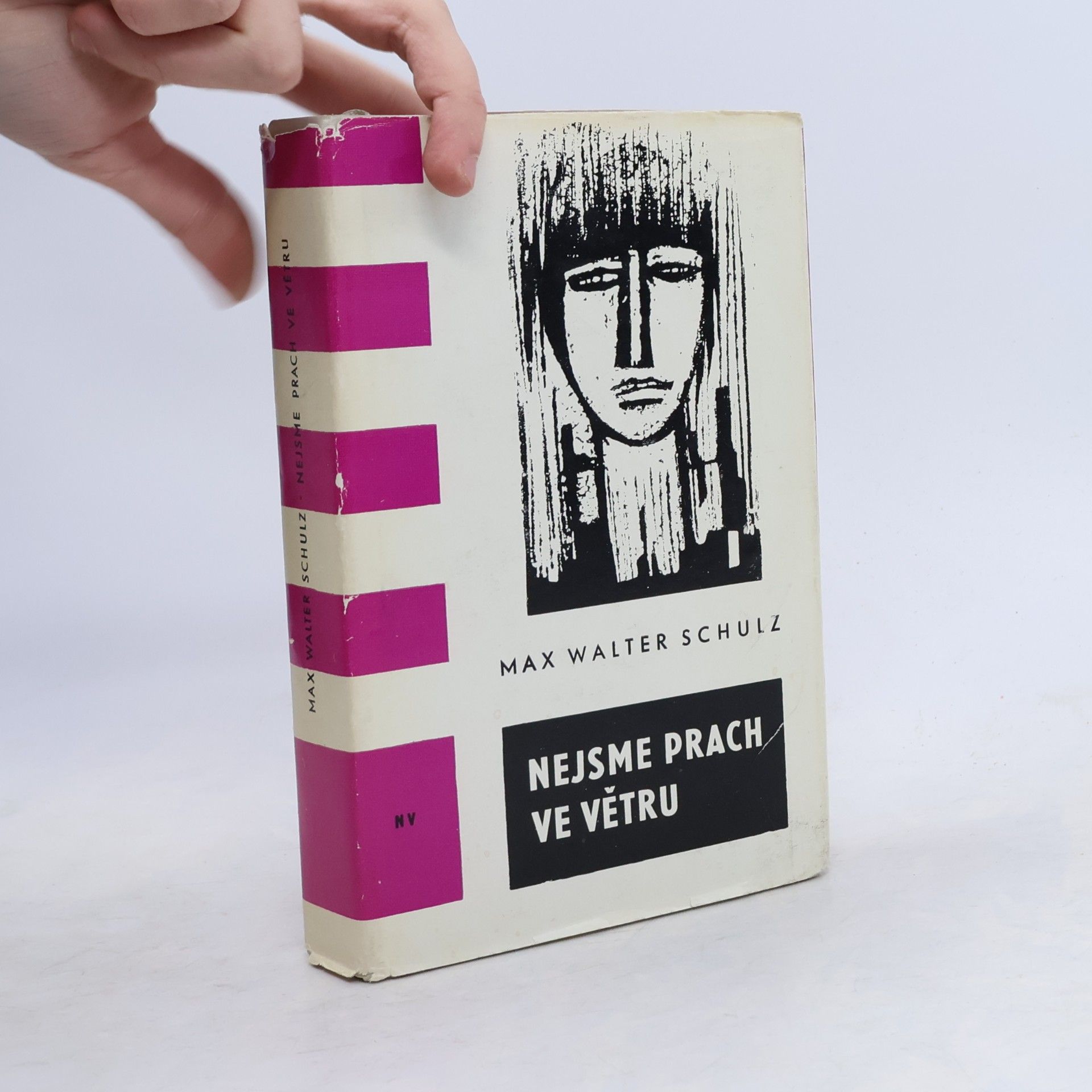 Nejsme prach ve větru