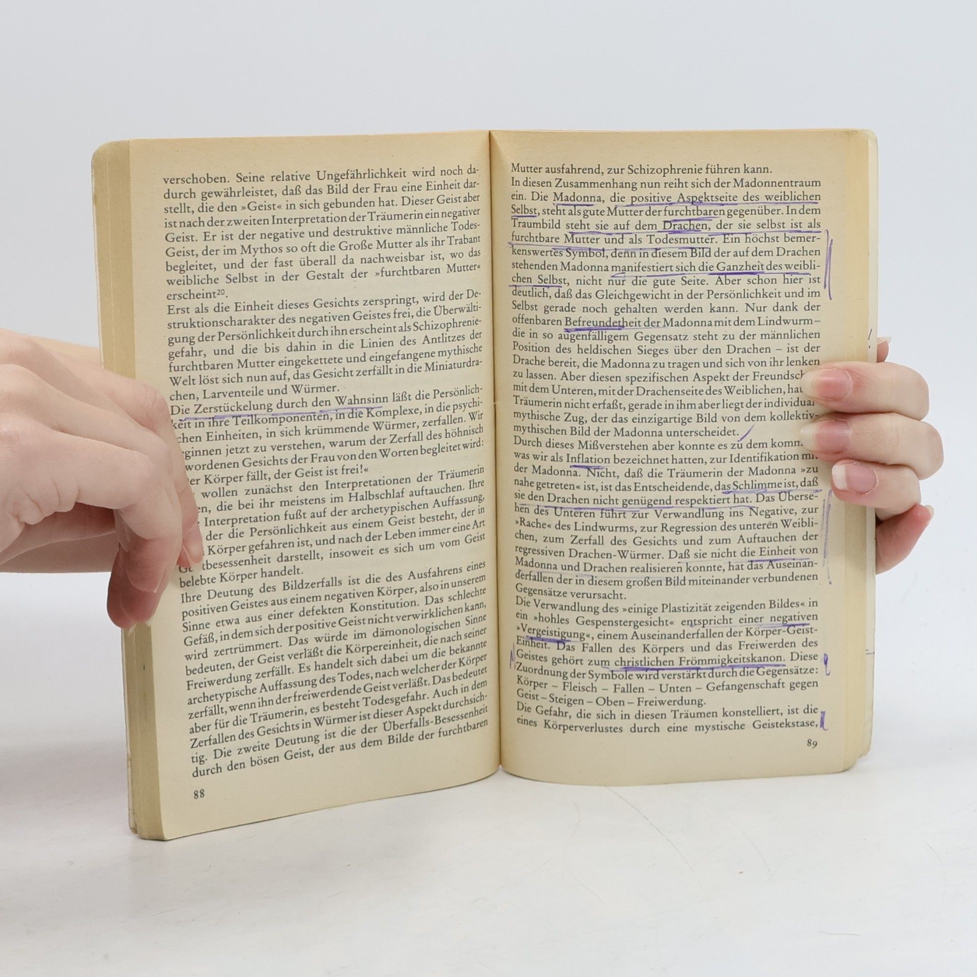 Erich Neumann Kulturentwicklung und Religion