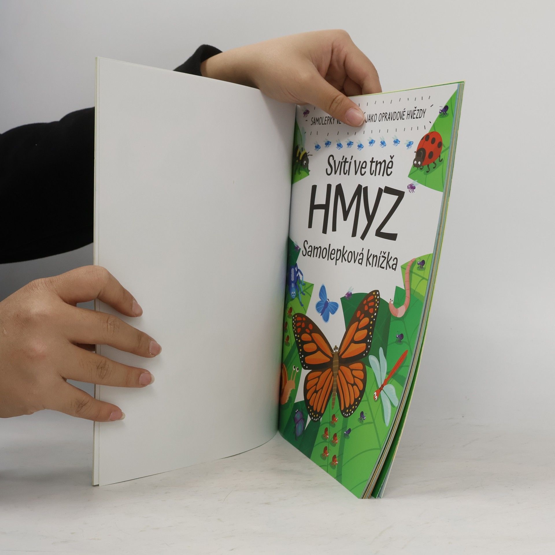 Kolektiv autorů Svítí ve tmě hmyz. Samolepková knížka