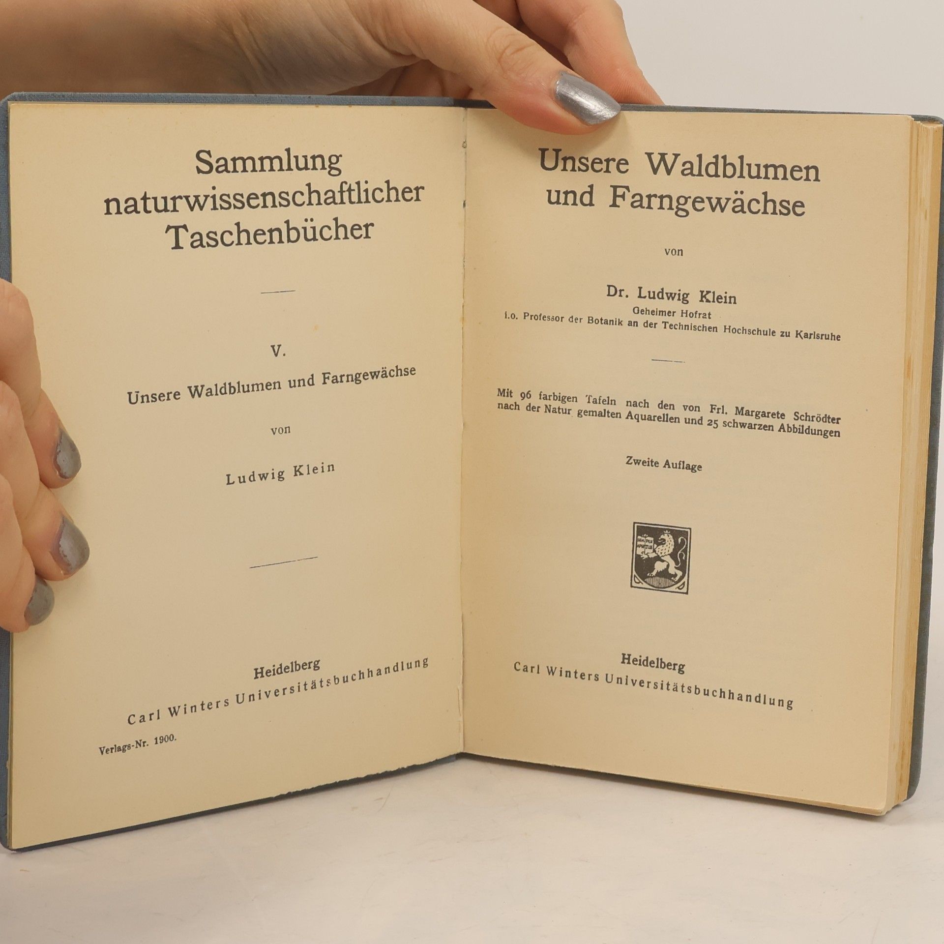 Ludwig Klein Unsere Waldblumen und Farngewächse