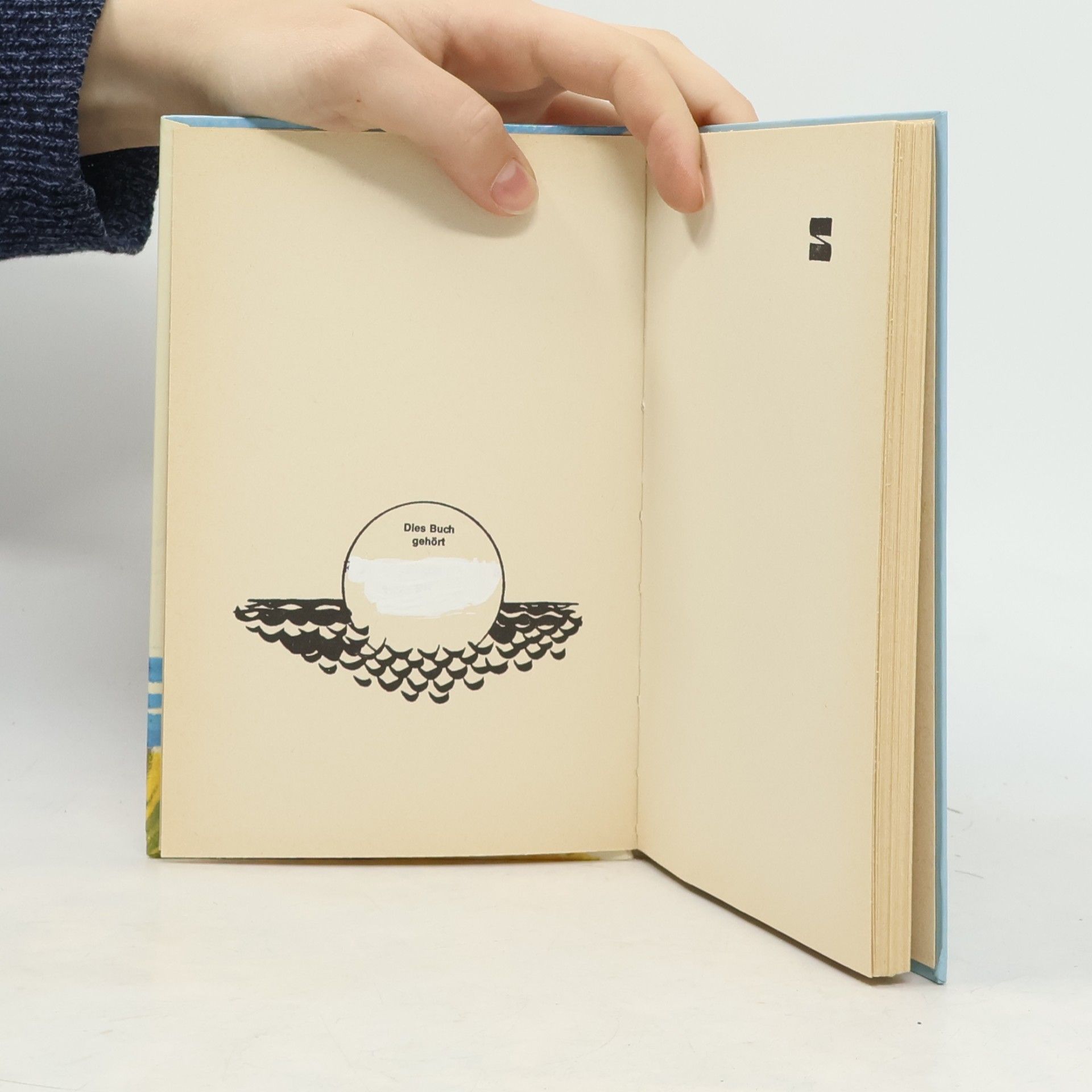 Enid Blyton Vier in der Möwenbucht