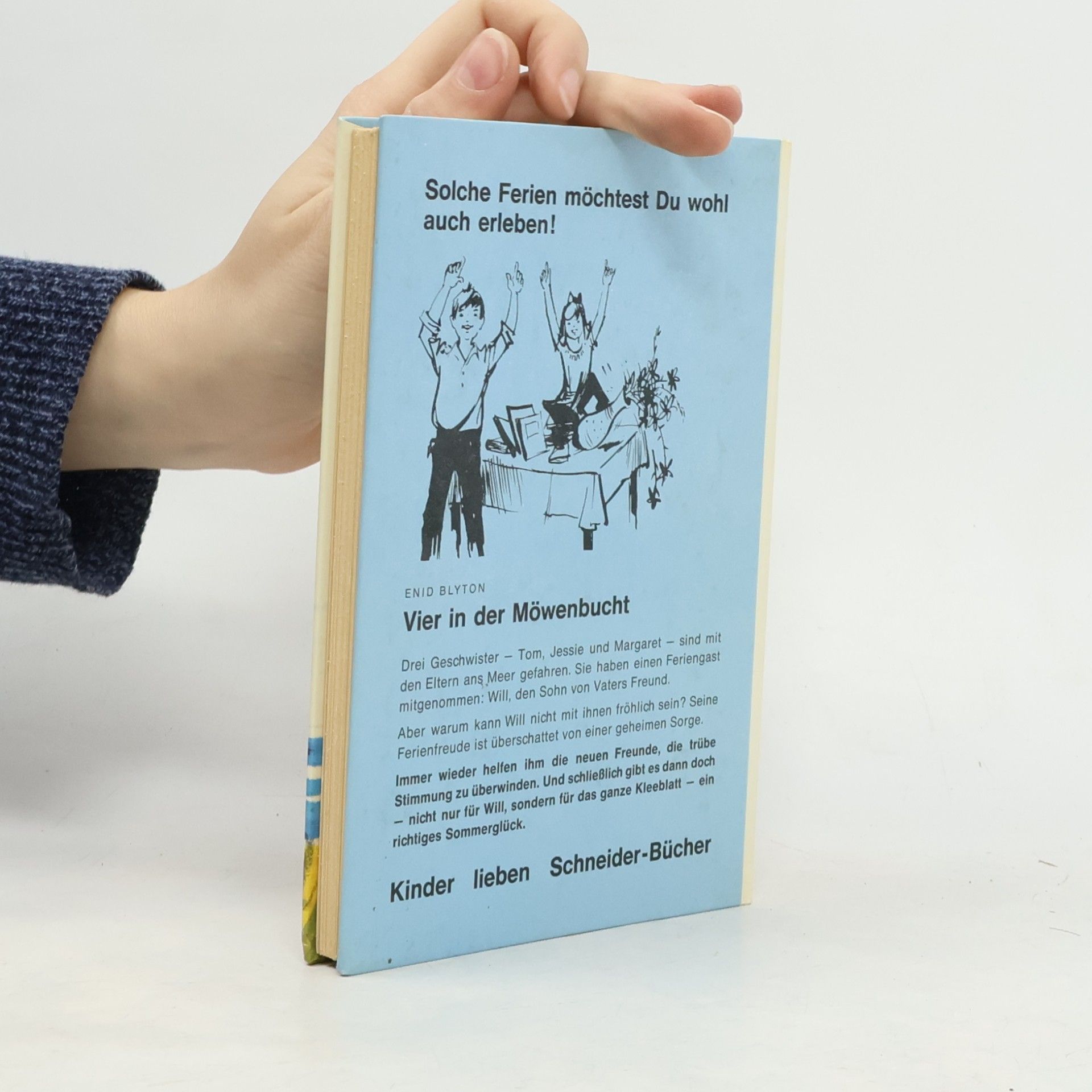Enid Blyton Vier in der Möwenbucht