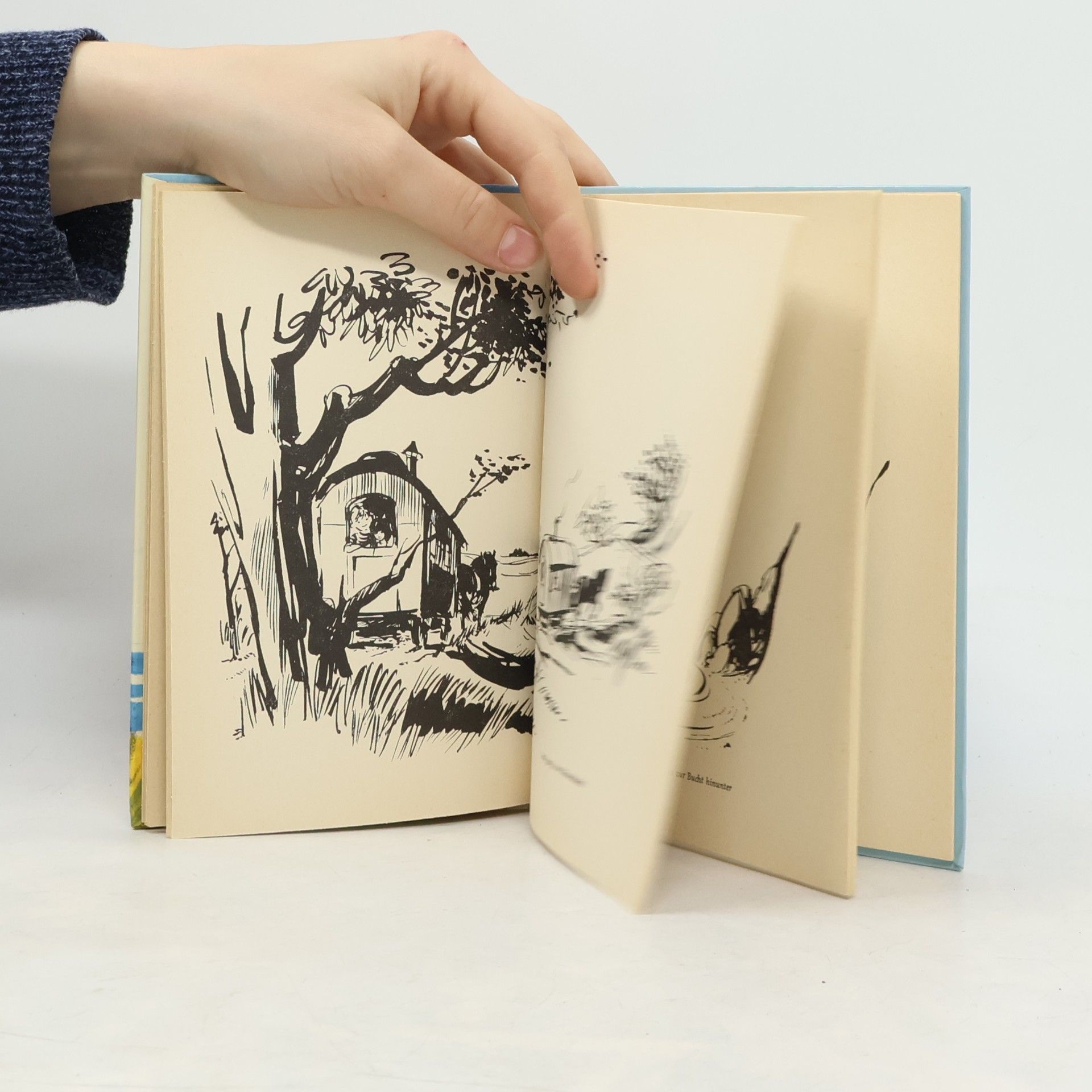 Enid Blyton Vier in der Möwenbucht