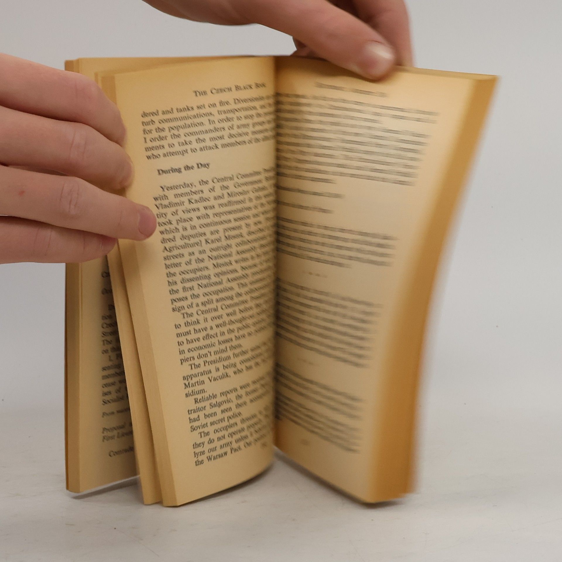 Robert Littell The Czech Black Book