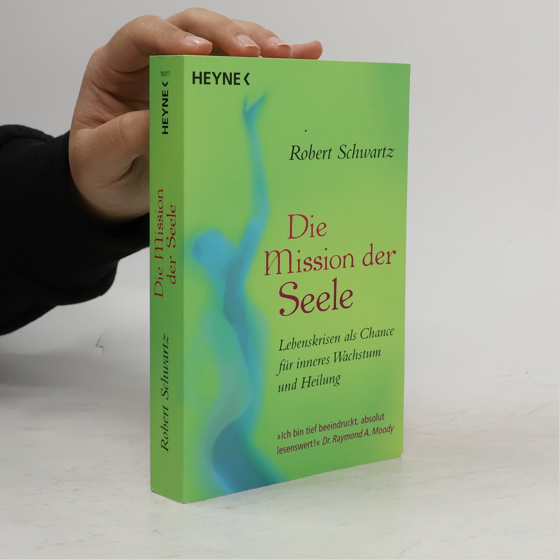 Robert Schwartz Die Mission der Seele