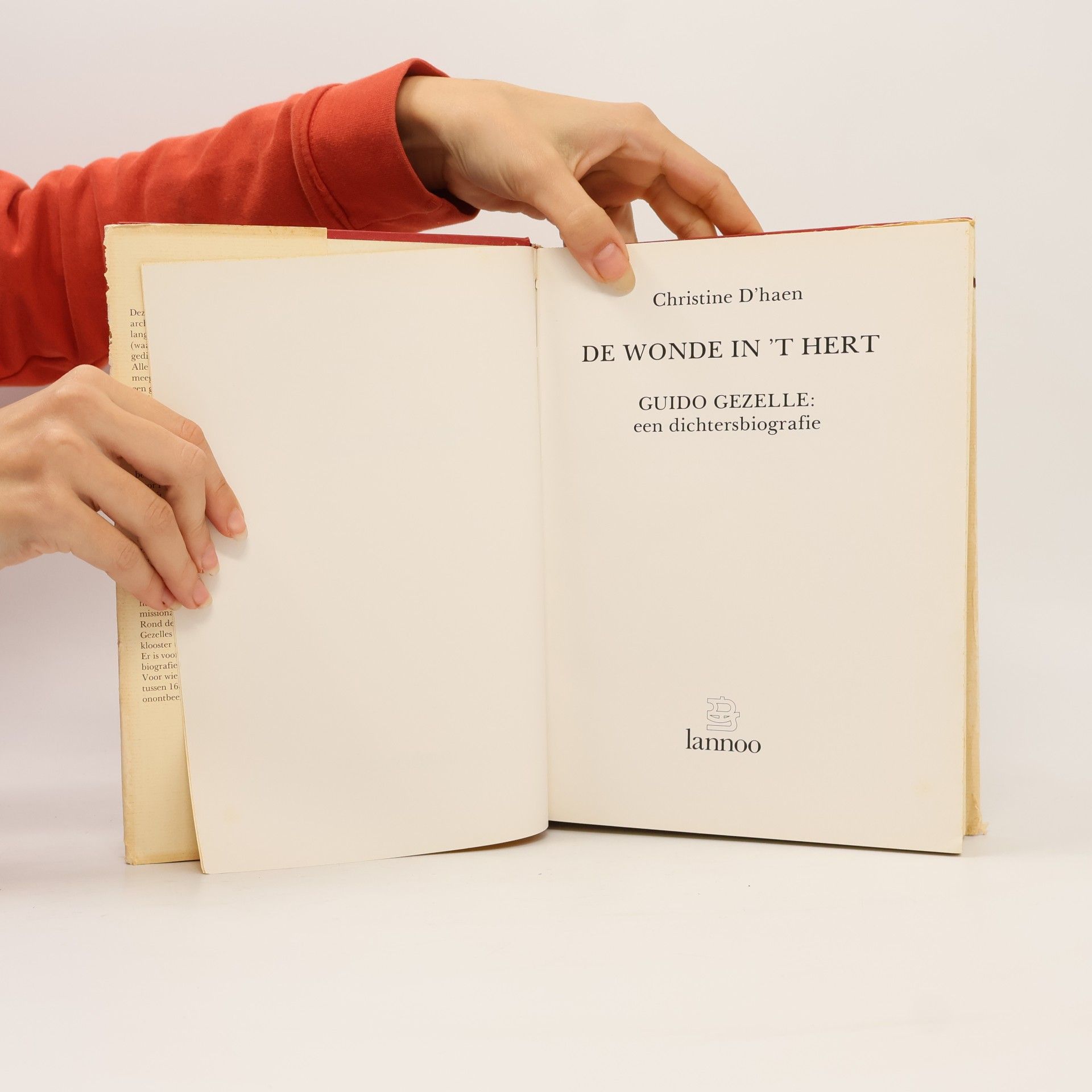 Christine d' Haen De wonde in 't hert: Guido Gezelle