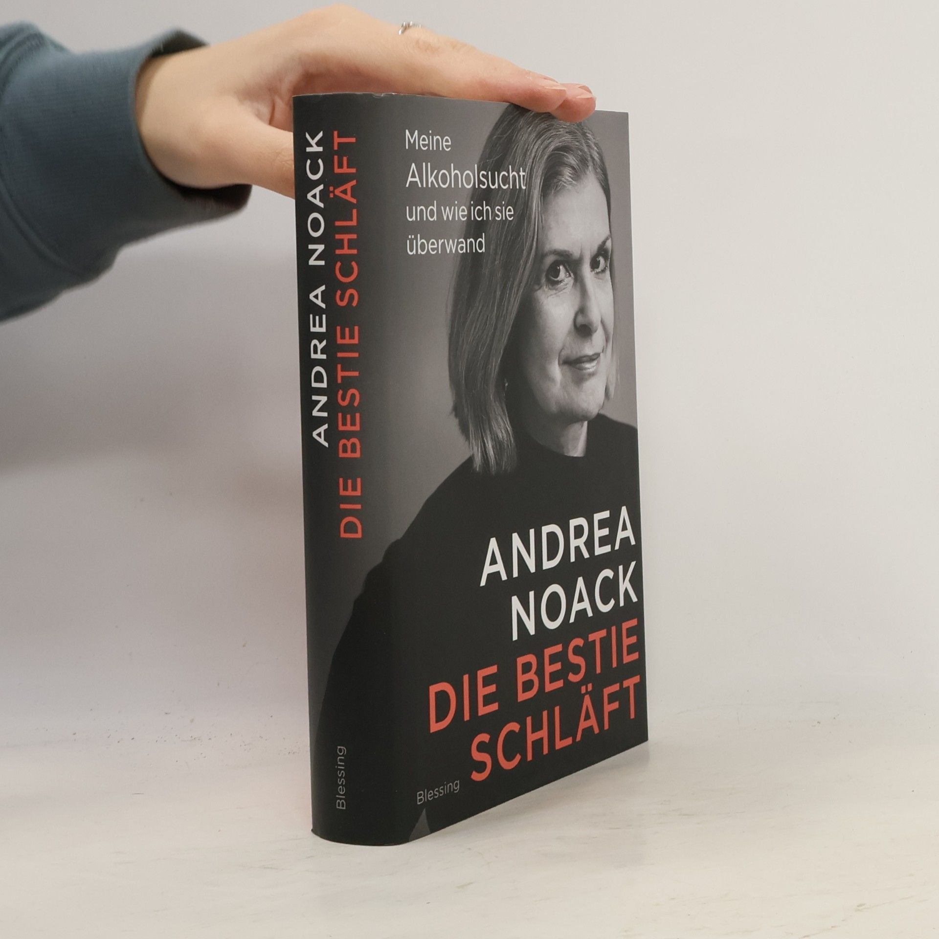 Andrea Noack Die Bestie schläft