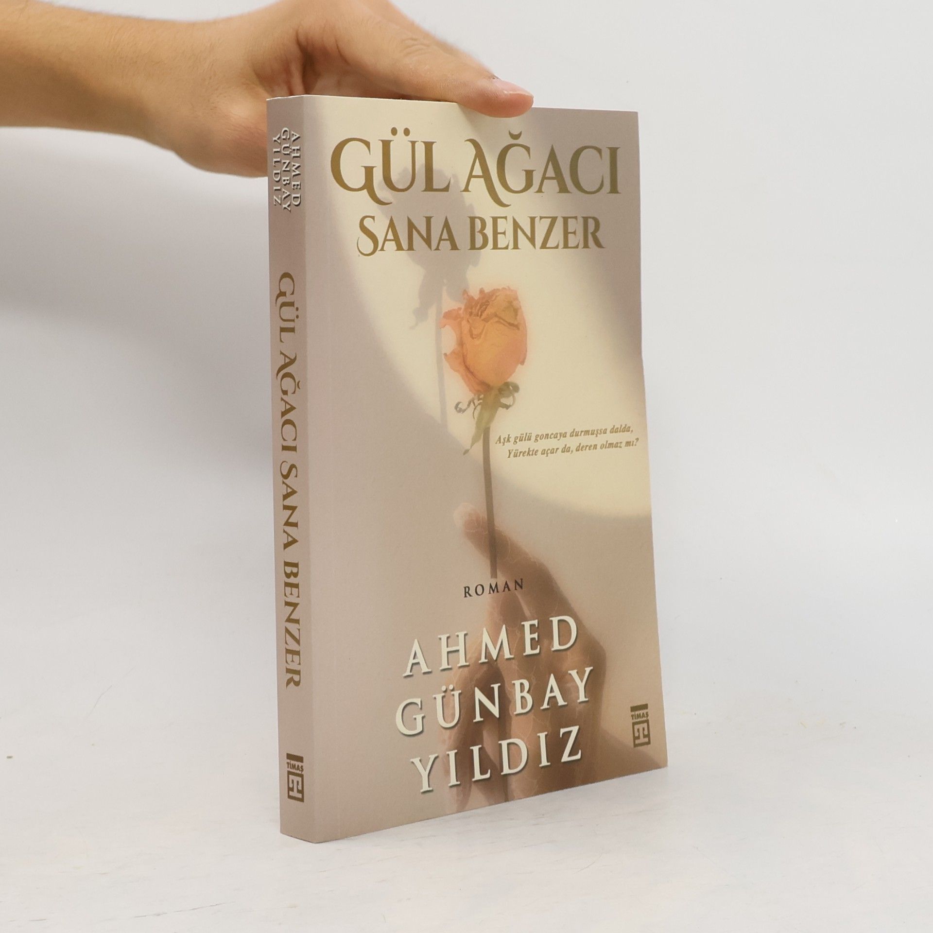 Ahmed Günbay Yildiz Gül Ağacı Sana Benzer