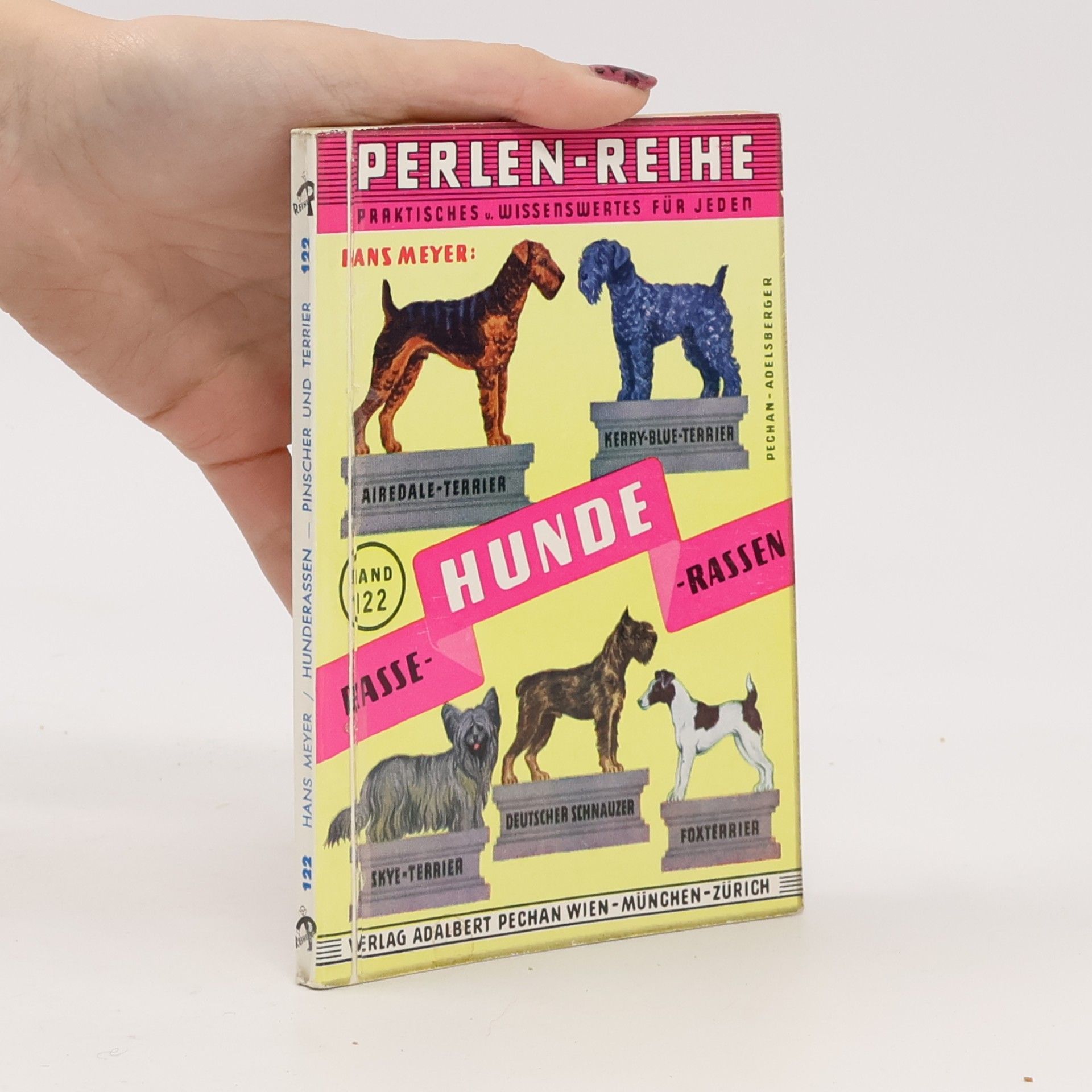 Hunde Rassen