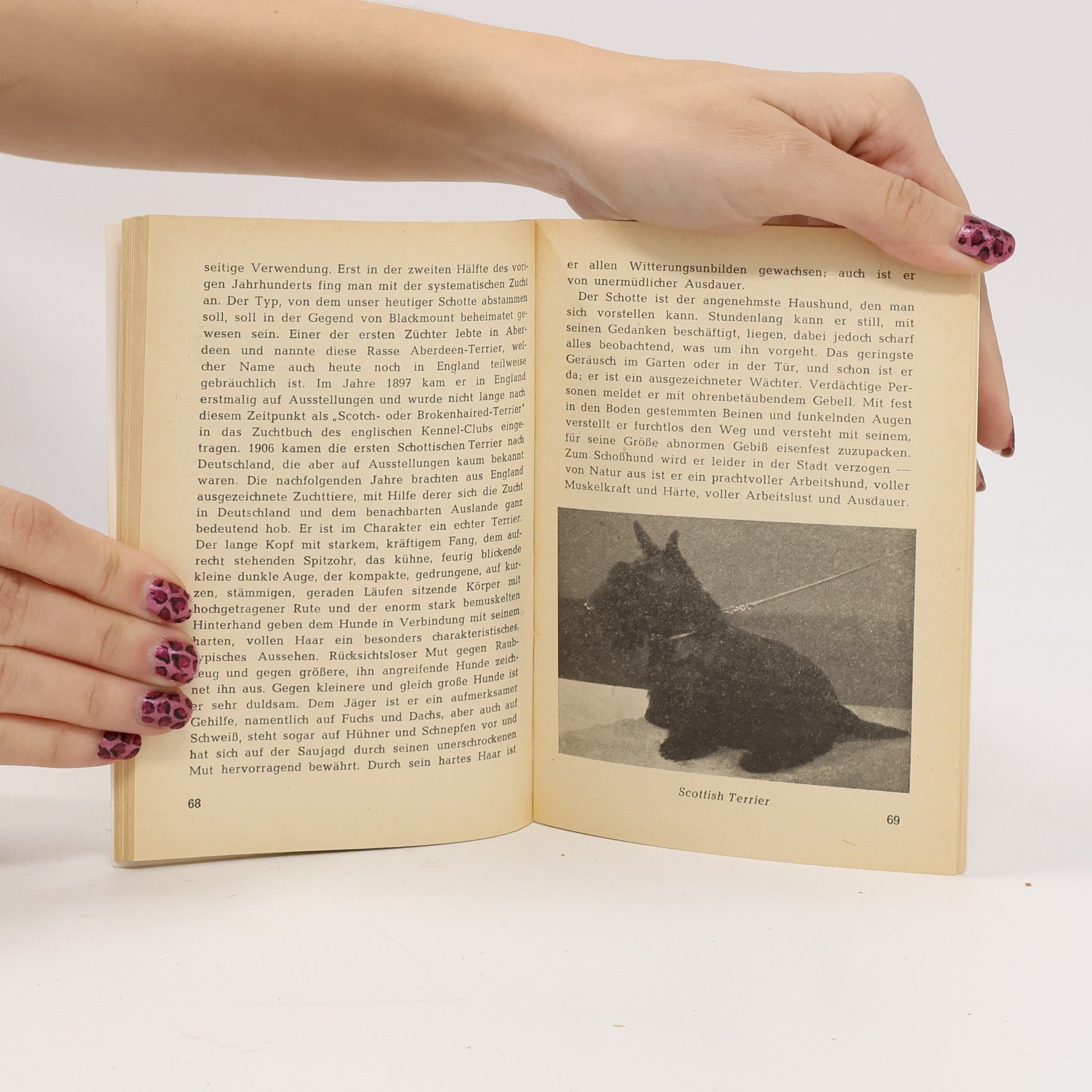 Hans Meyer Hunde Rassen