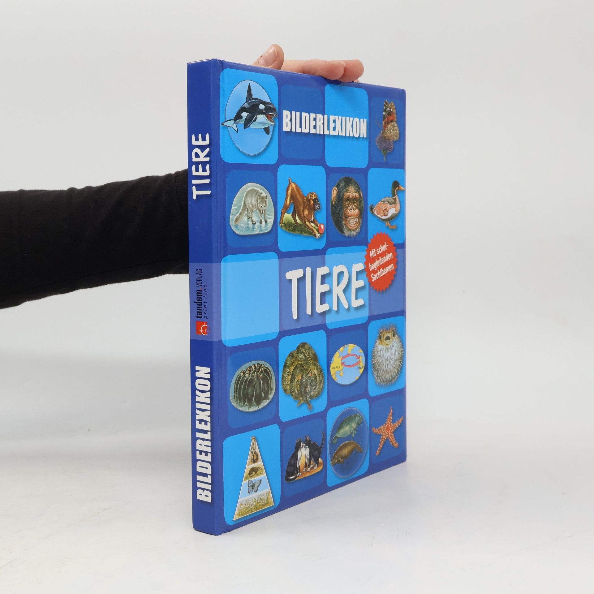 Autorenkollektiv Bilderlexikon Tiere