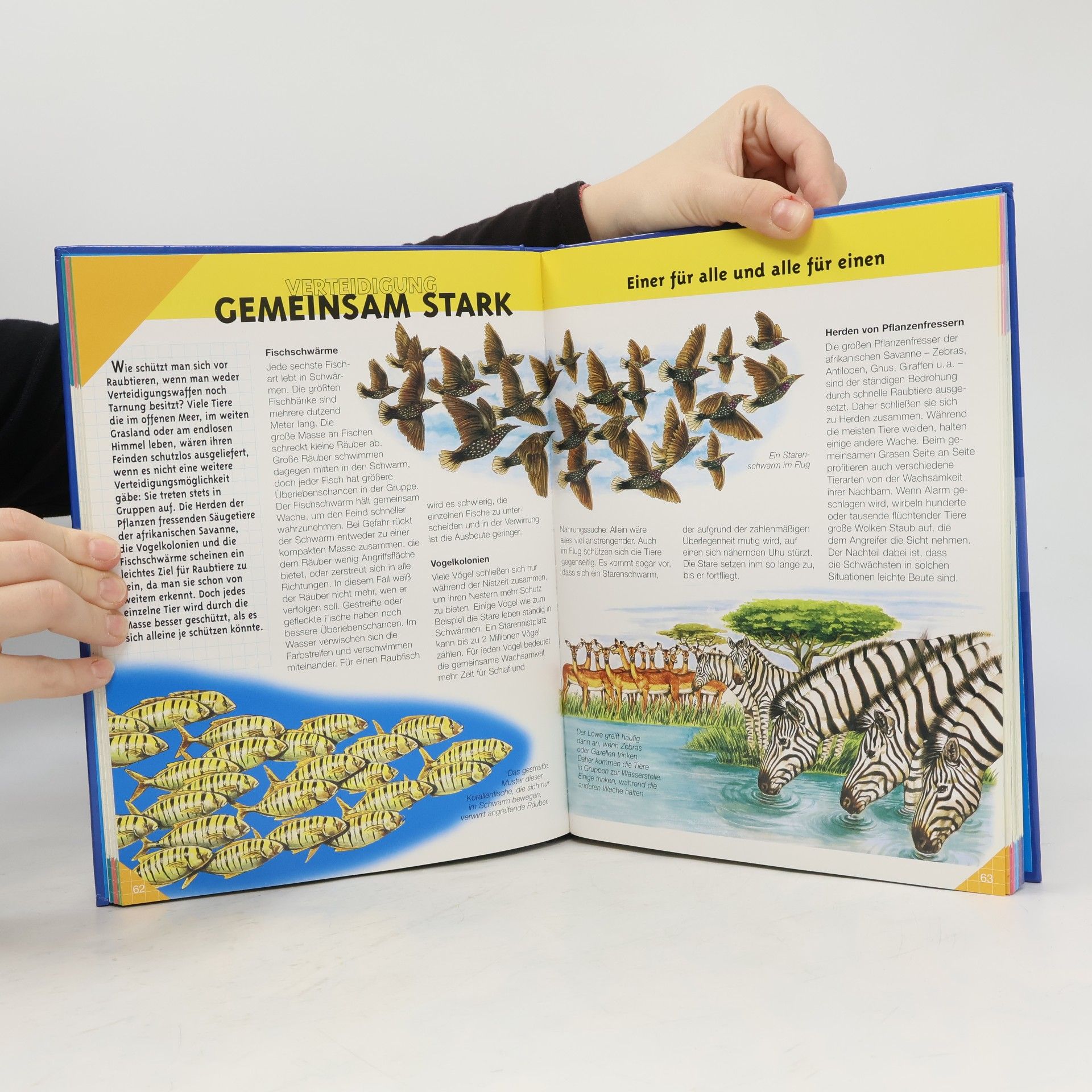 Autorenkollektiv Bilderlexikon Tiere