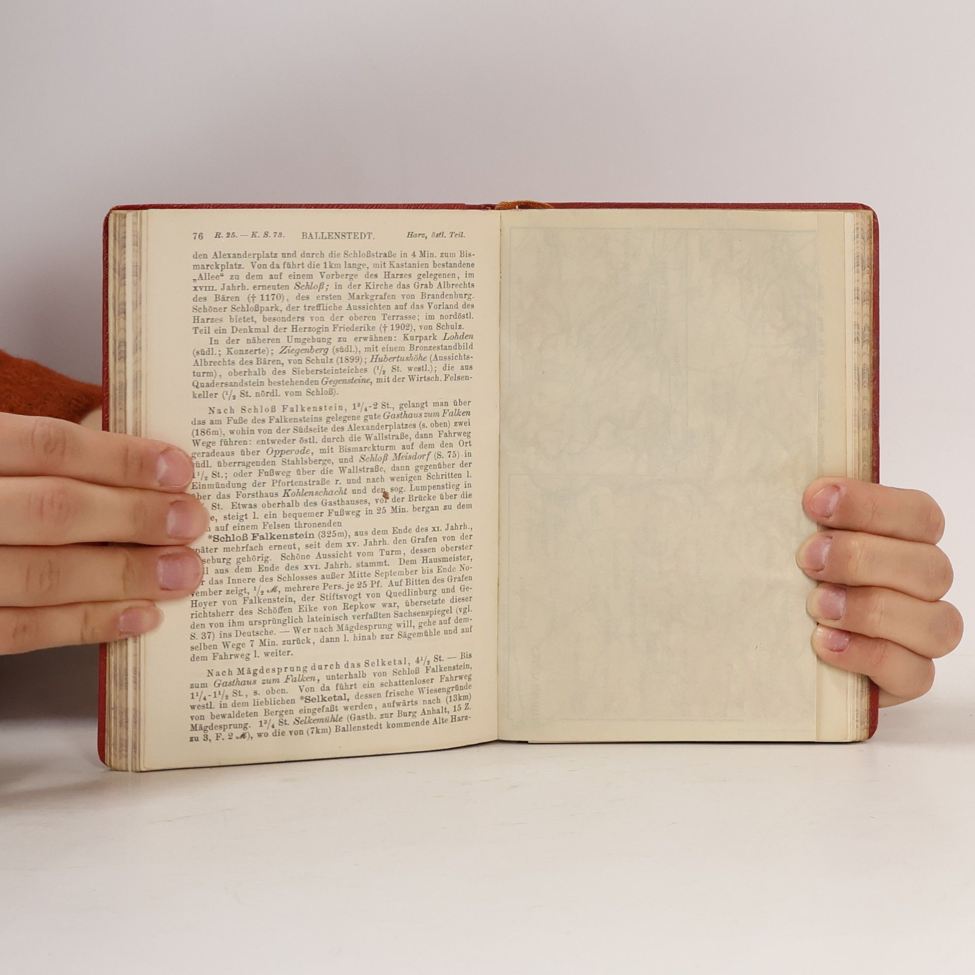 Karl Baedeker Baedekers HARZ