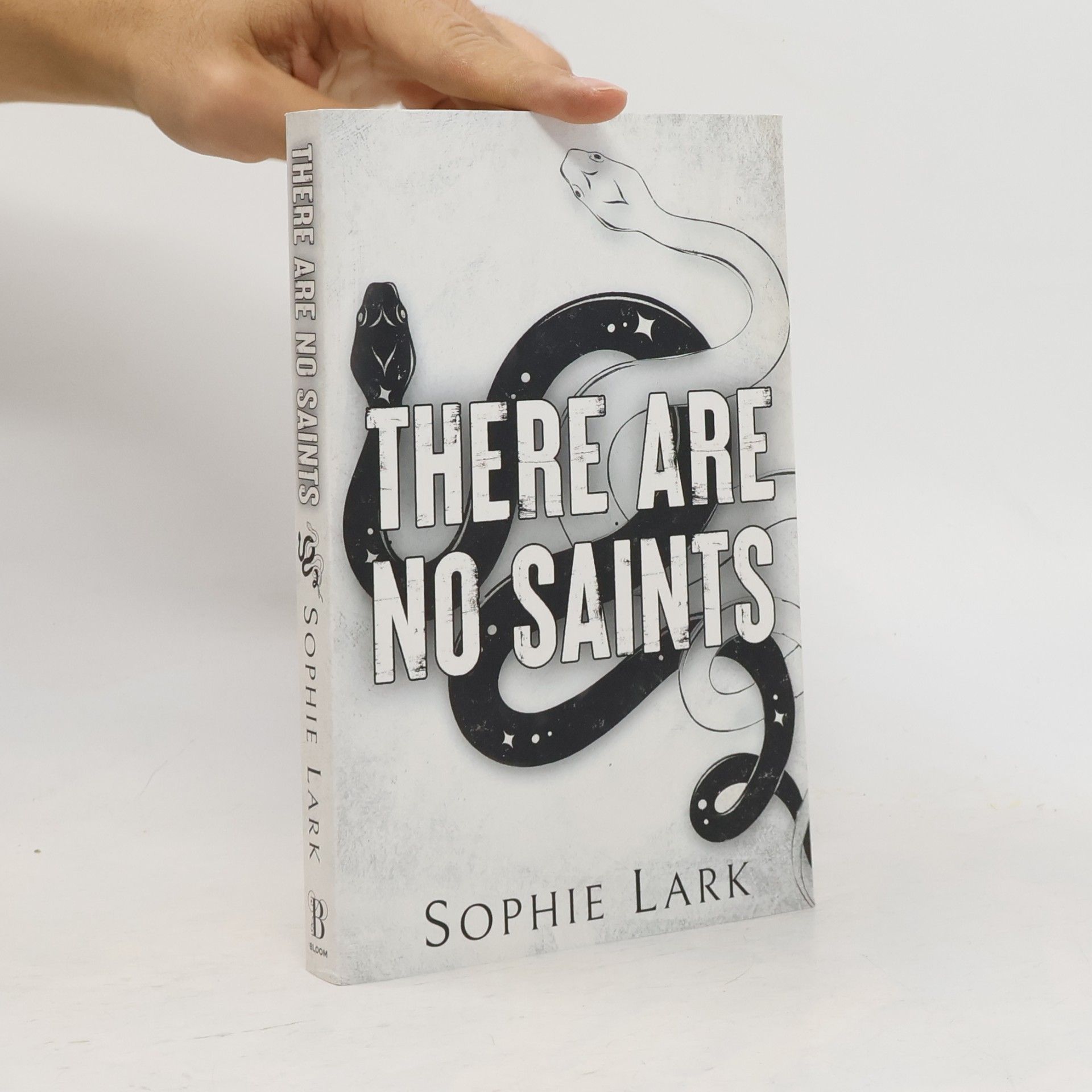 There Are No Saints