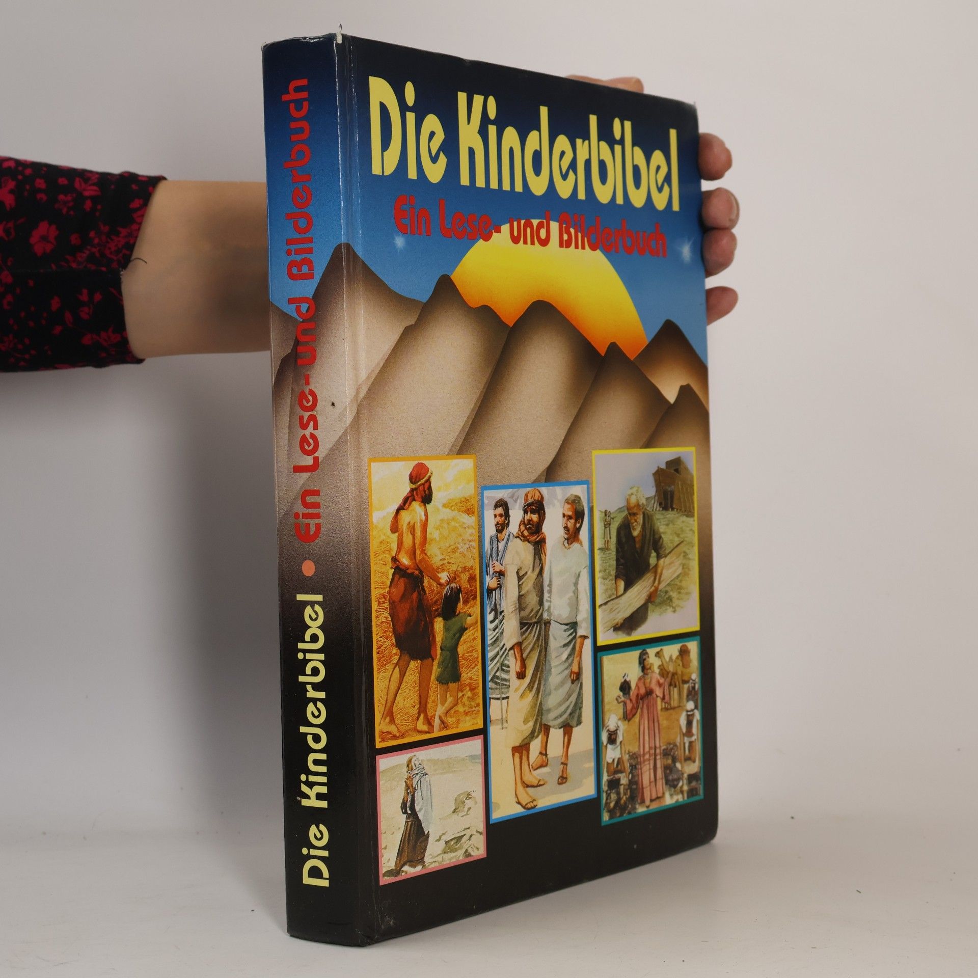 Kolektiv autorů Die Bibel