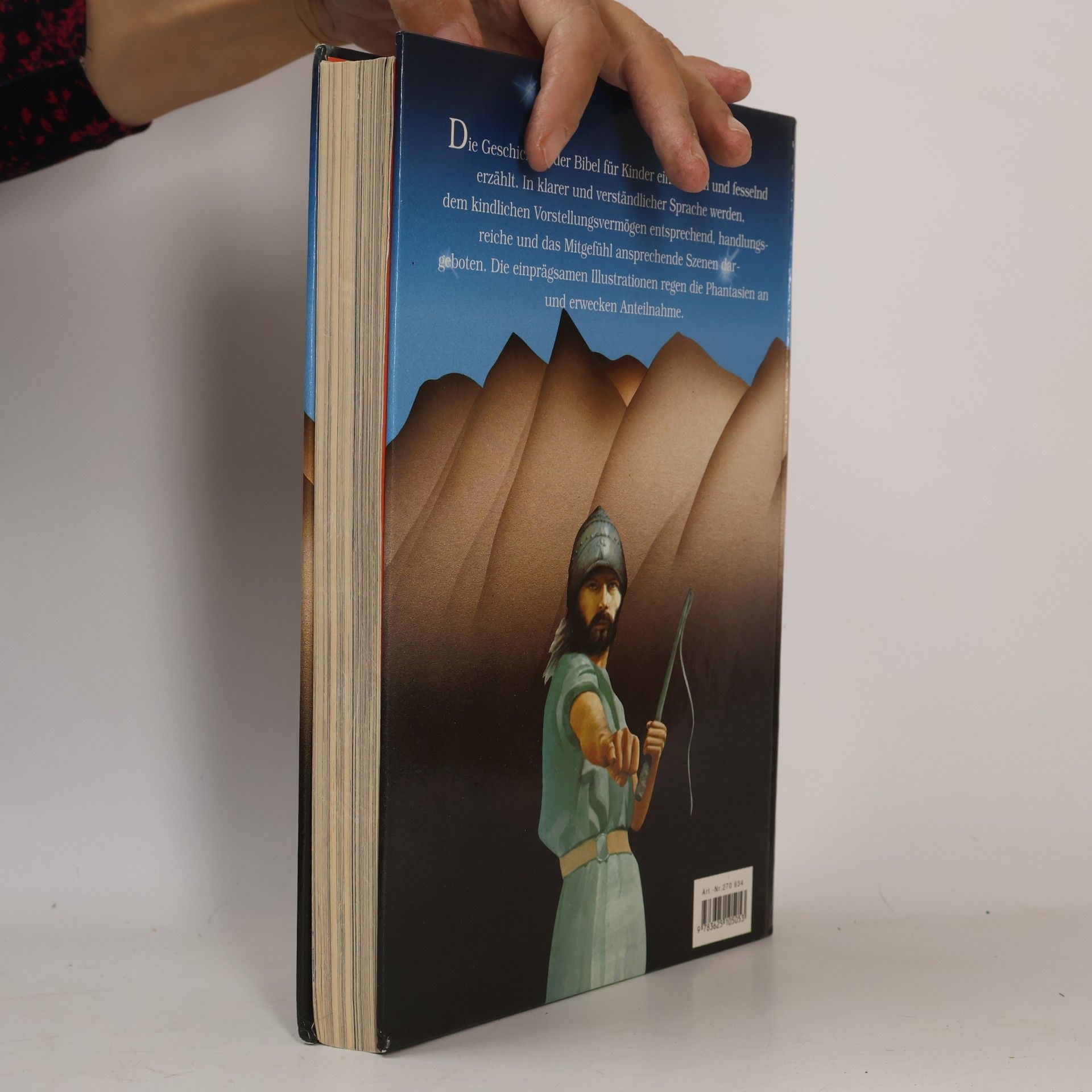 Kolektiv autorů Die Bibel