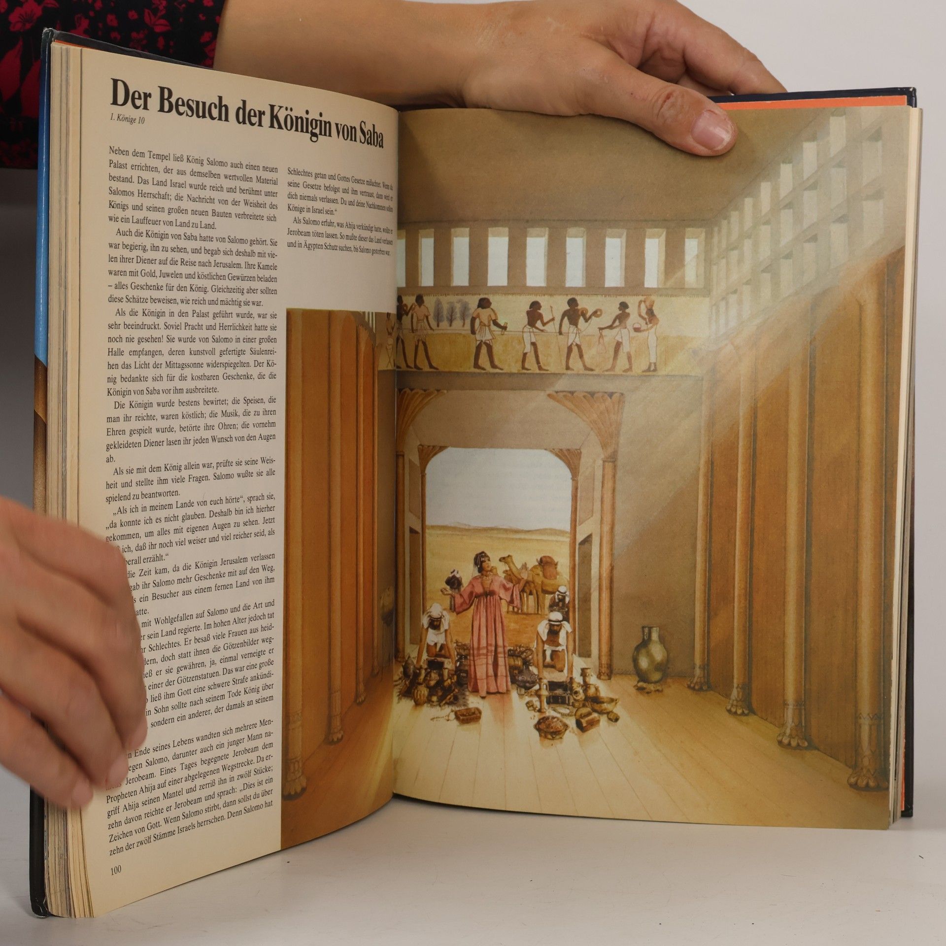 Kolektiv autorů Die Bibel