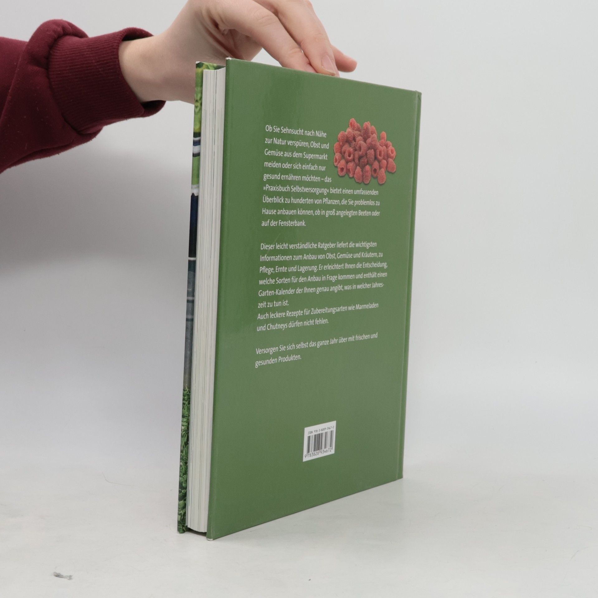 Richard Gianfrancesco Praxisbuch Selbstversorgung