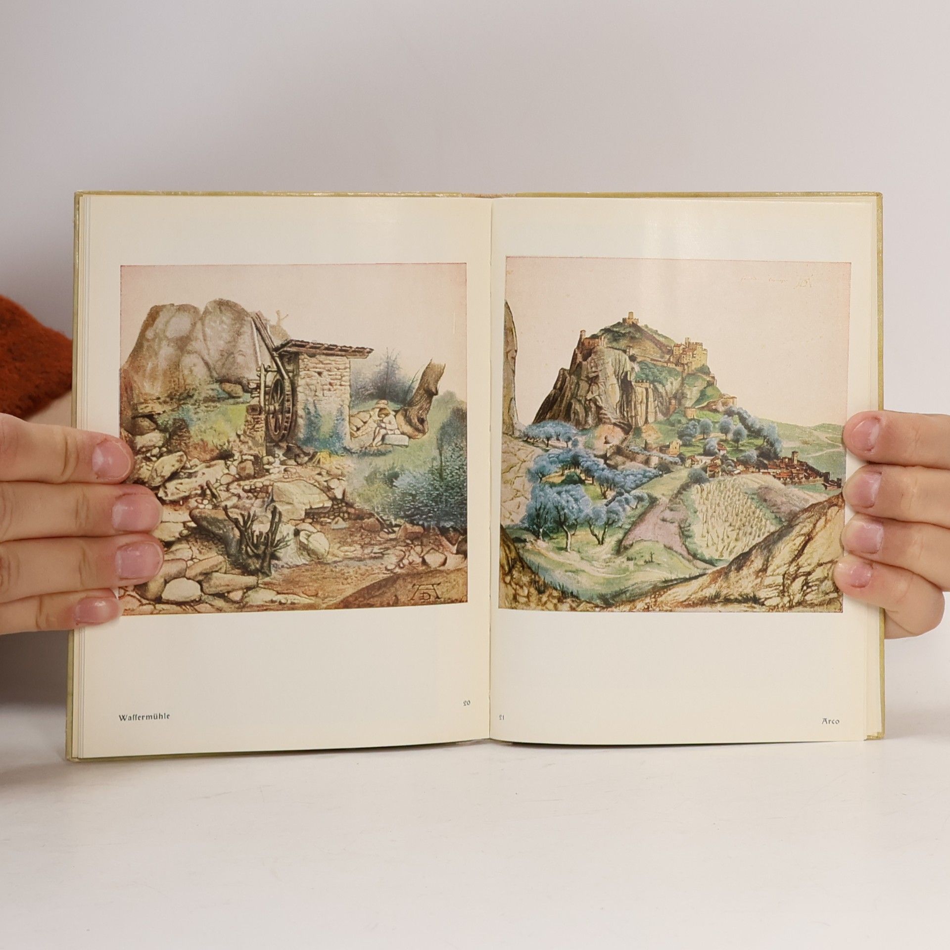 Albrecht Dürer Buntes Dürer-Büchlein
