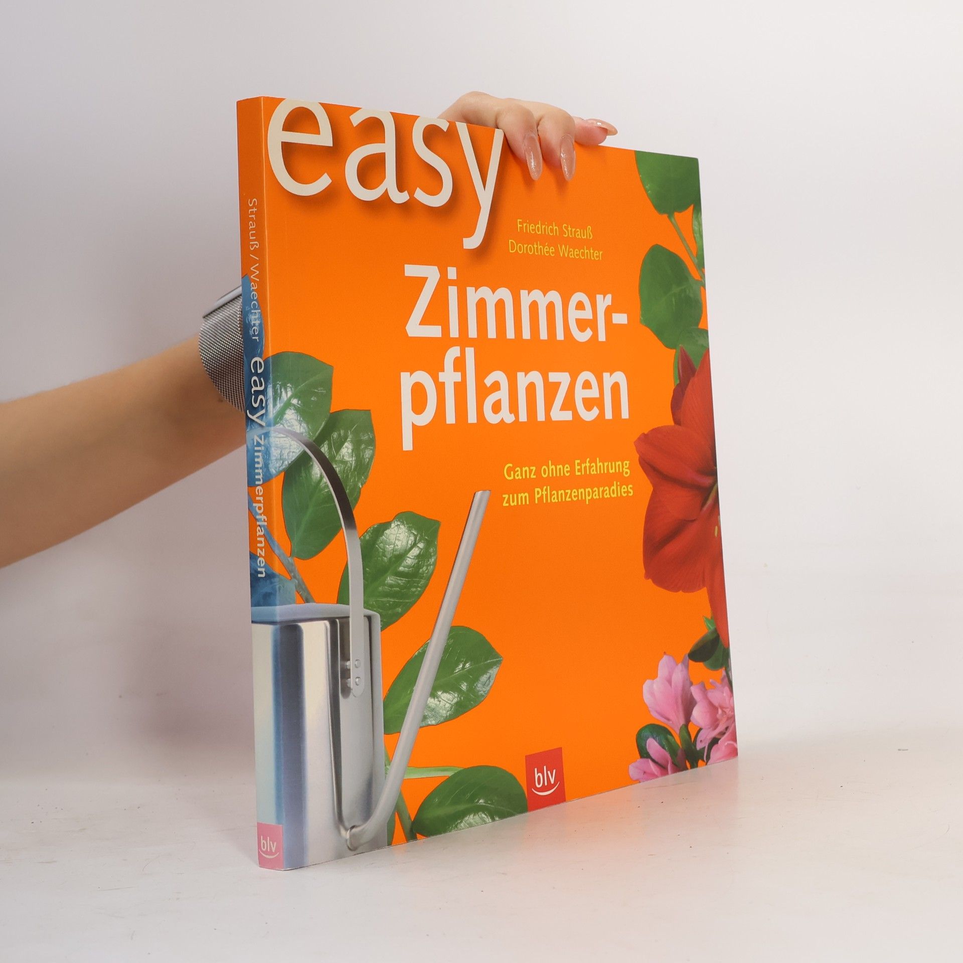 Easy Zimmerpflanzen