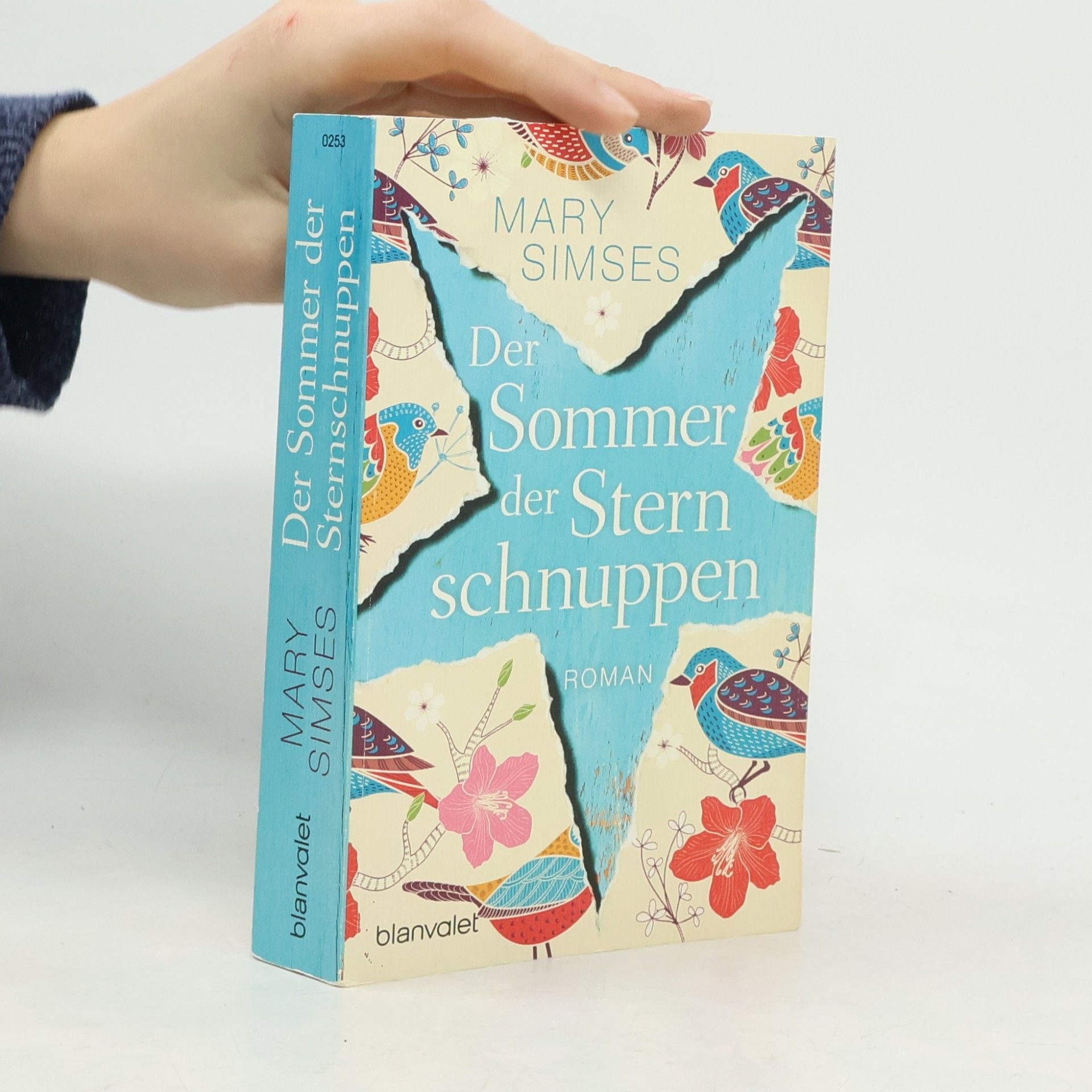 Mary Simses Der Sommer der Sternschnuppen