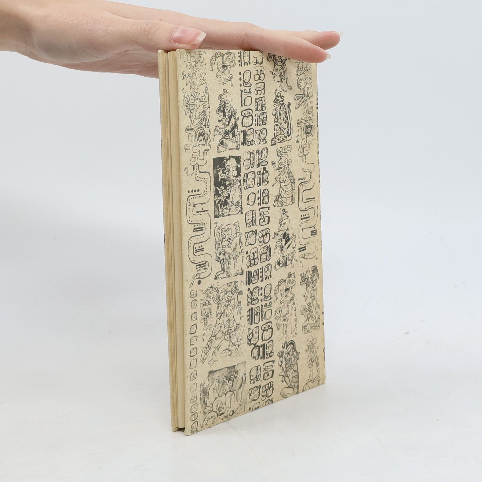 Autorenkollektiv Schrift und Buchmalerei der Maya-Indianer