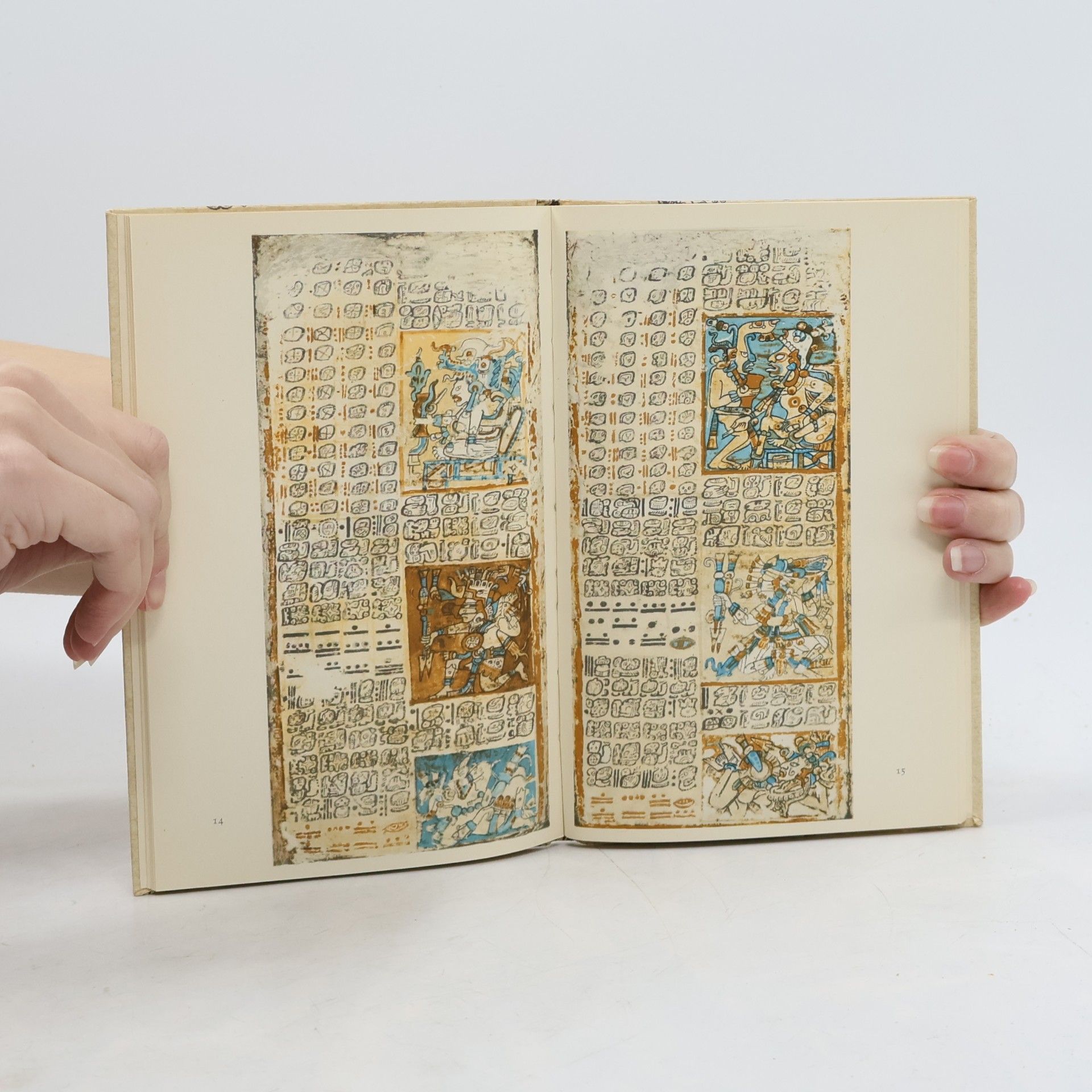 Autorenkollektiv Schrift und Buchmalerei der Maya-Indianer
