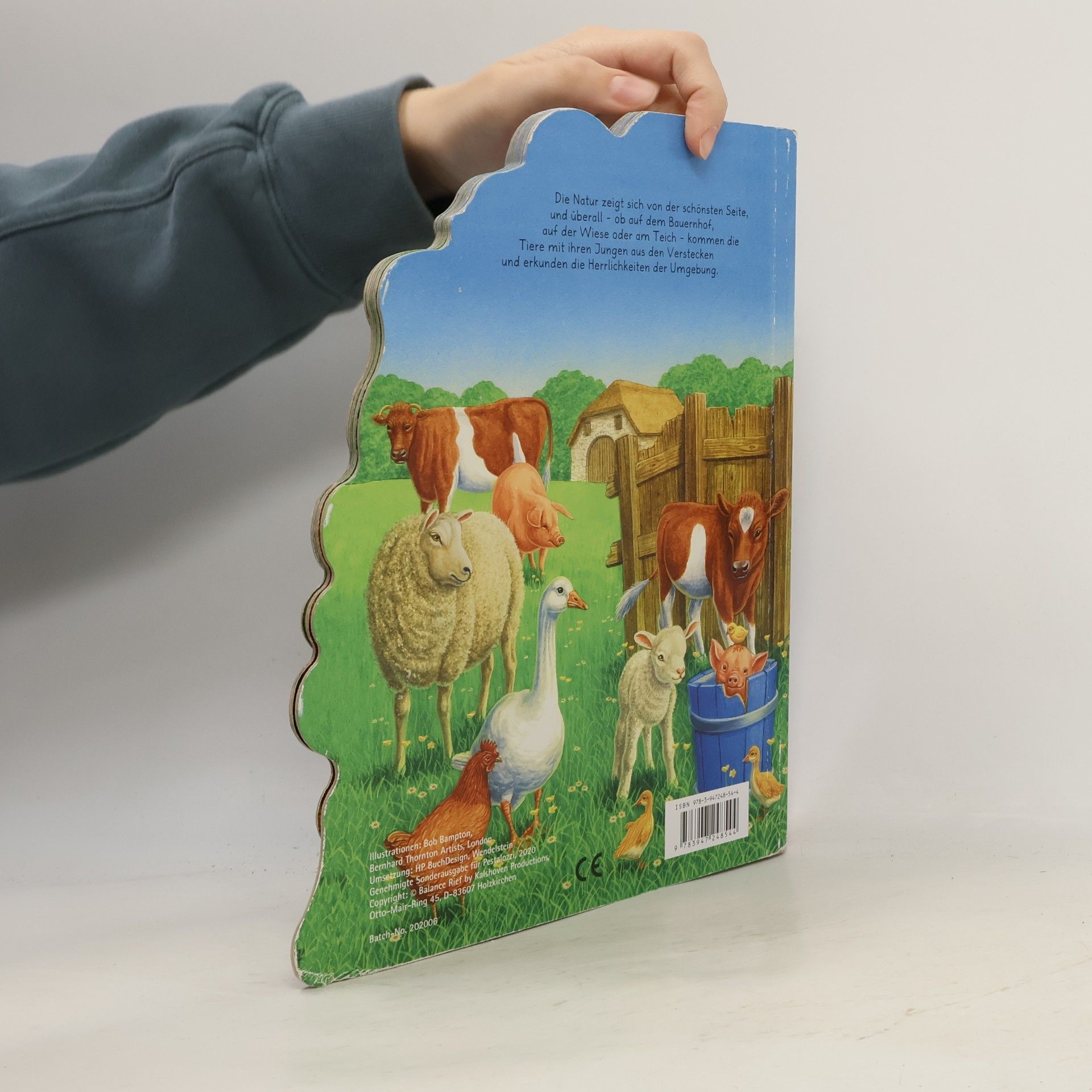 Autorenkollektiv Tierkinder in der Natur