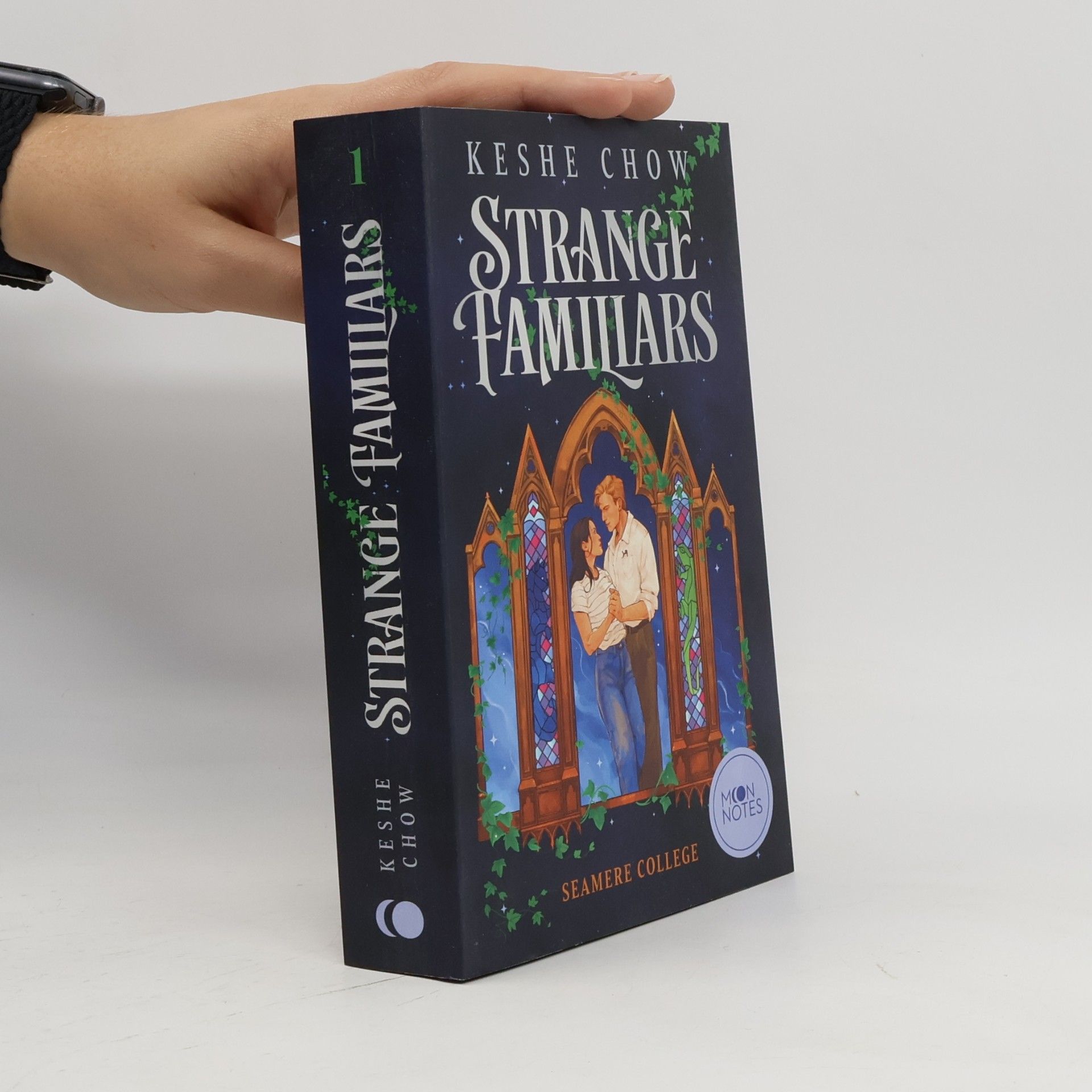 Seamere College - 1: Strange Familiars