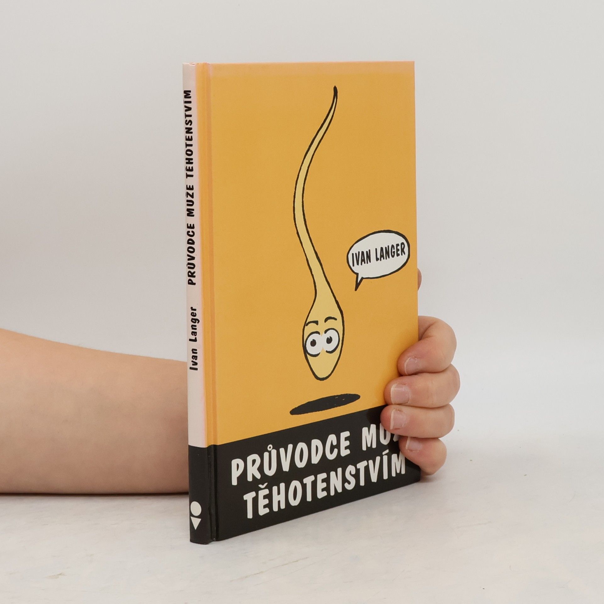 Průvodce muže těhotenstvím