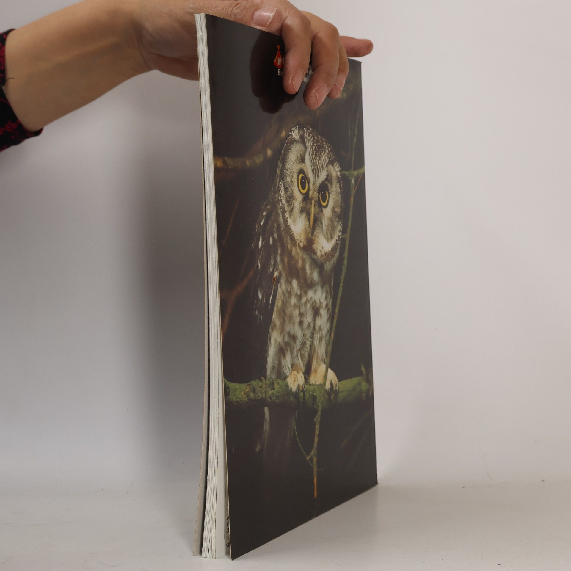 Various authors Naturmagazin Draußen 8. Bayerischer Wald