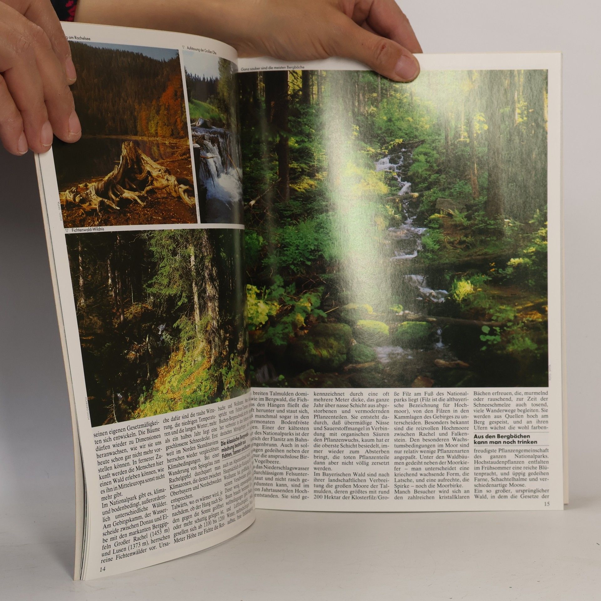 Various authors Naturmagazin Draußen 8. Bayerischer Wald