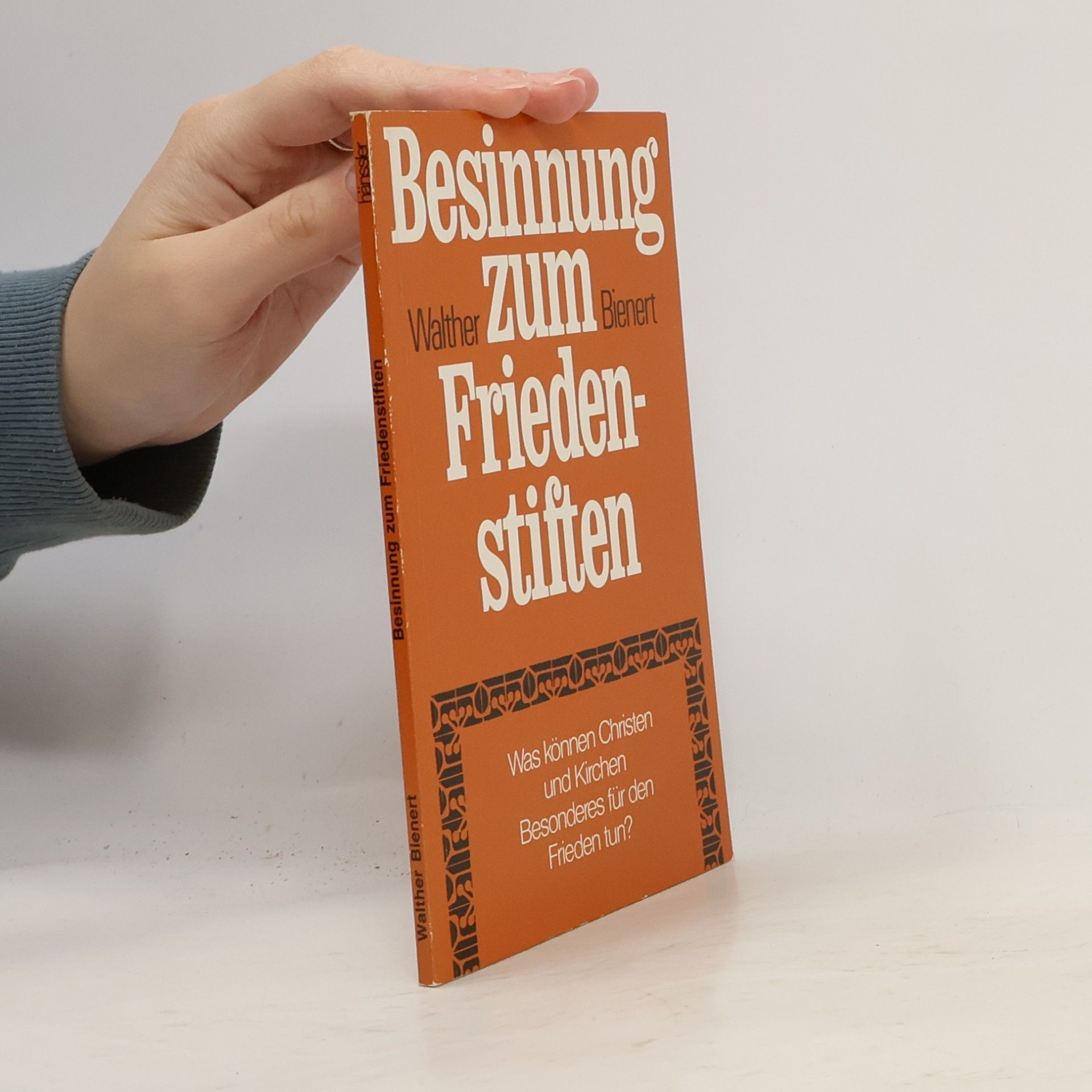 Besinnung zum Friedenstiften. Was können Christen und Kirchen Besonderes für den Frieden tun?